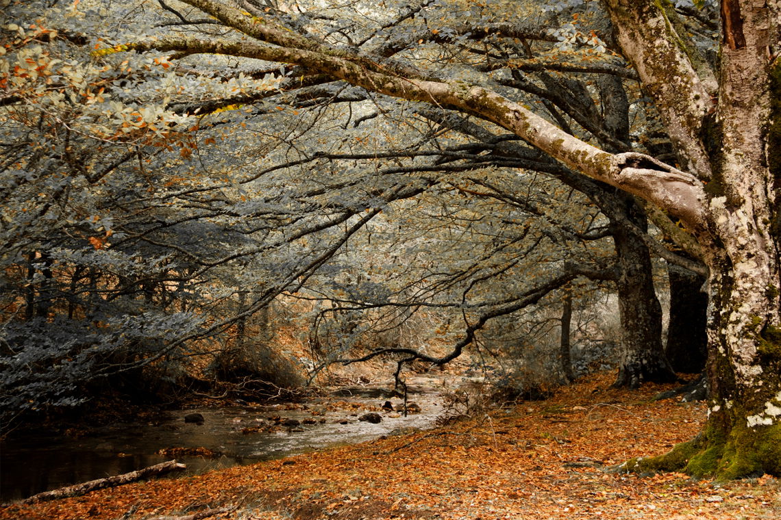 Montejo de la Sierra, por javier mantrana del valle