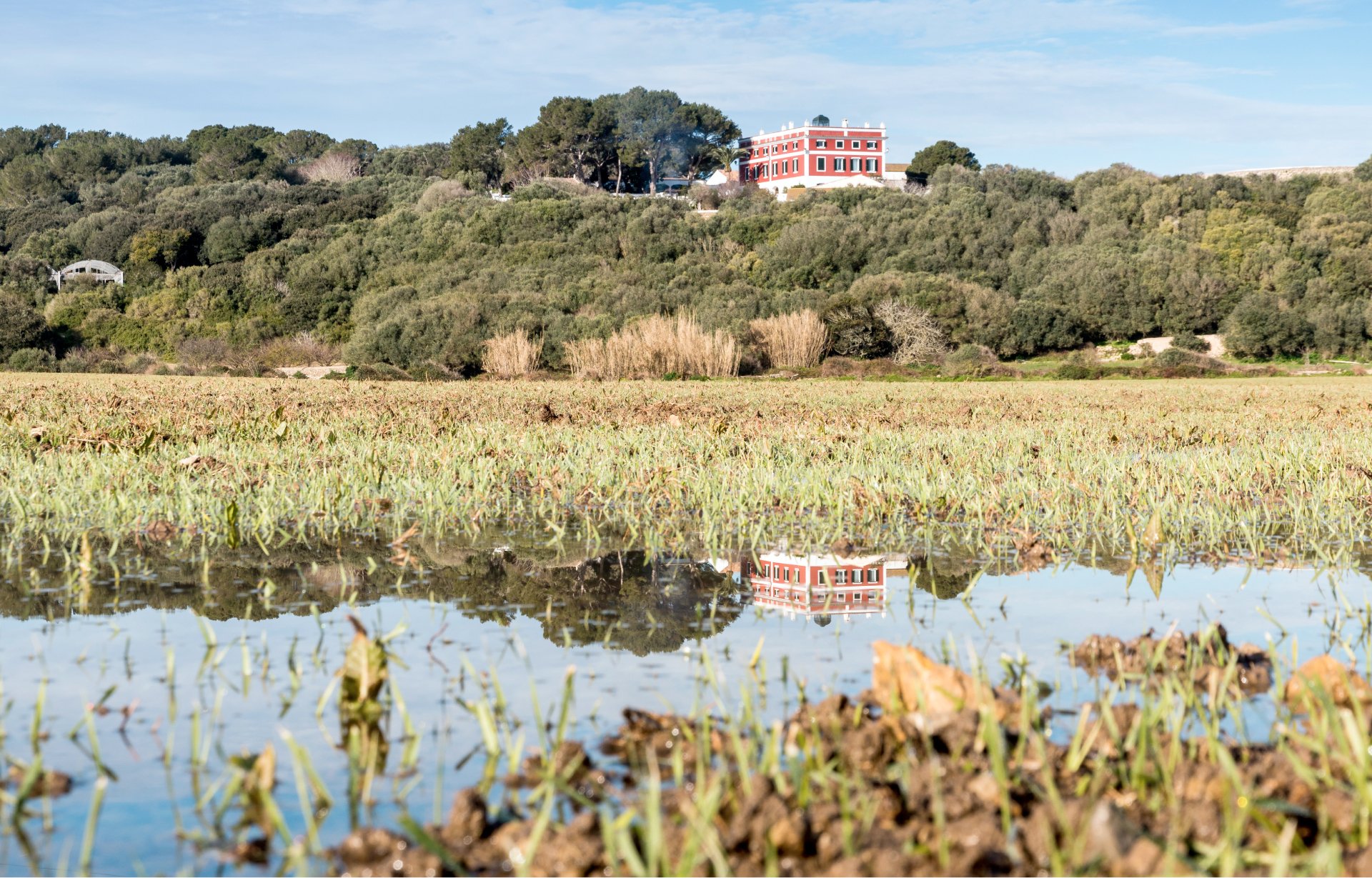 Subaida - Menorca, por Jordi Santos