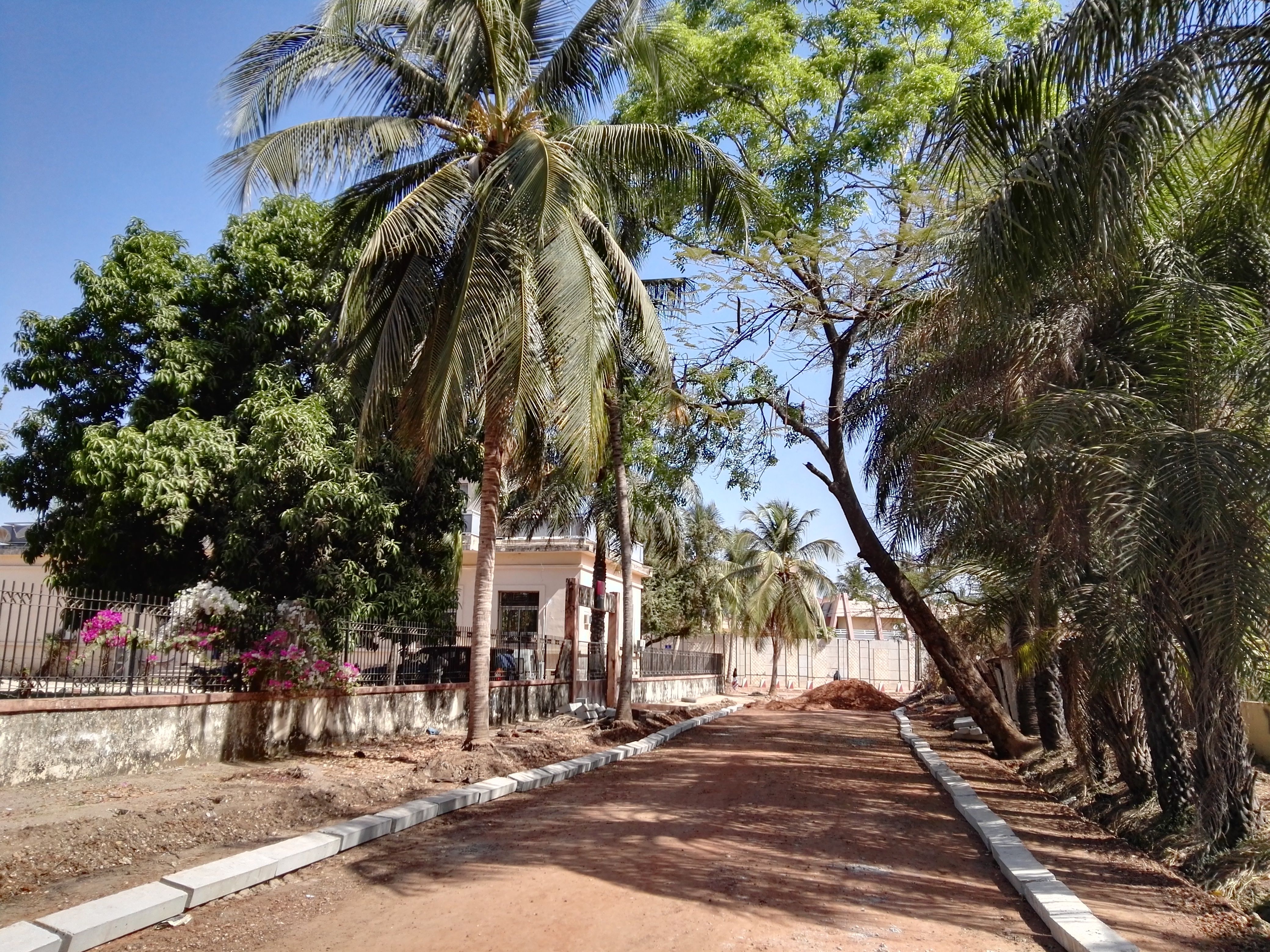 Cabo Skirring, por Federica Xotti