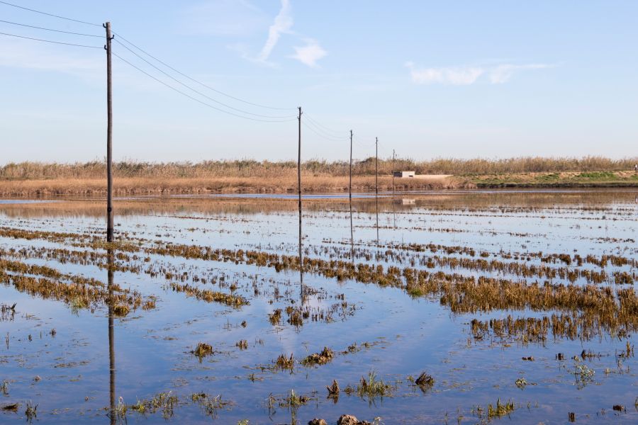 Del puerto de Catarroja al Tancat de la Pipa, por ANADEL