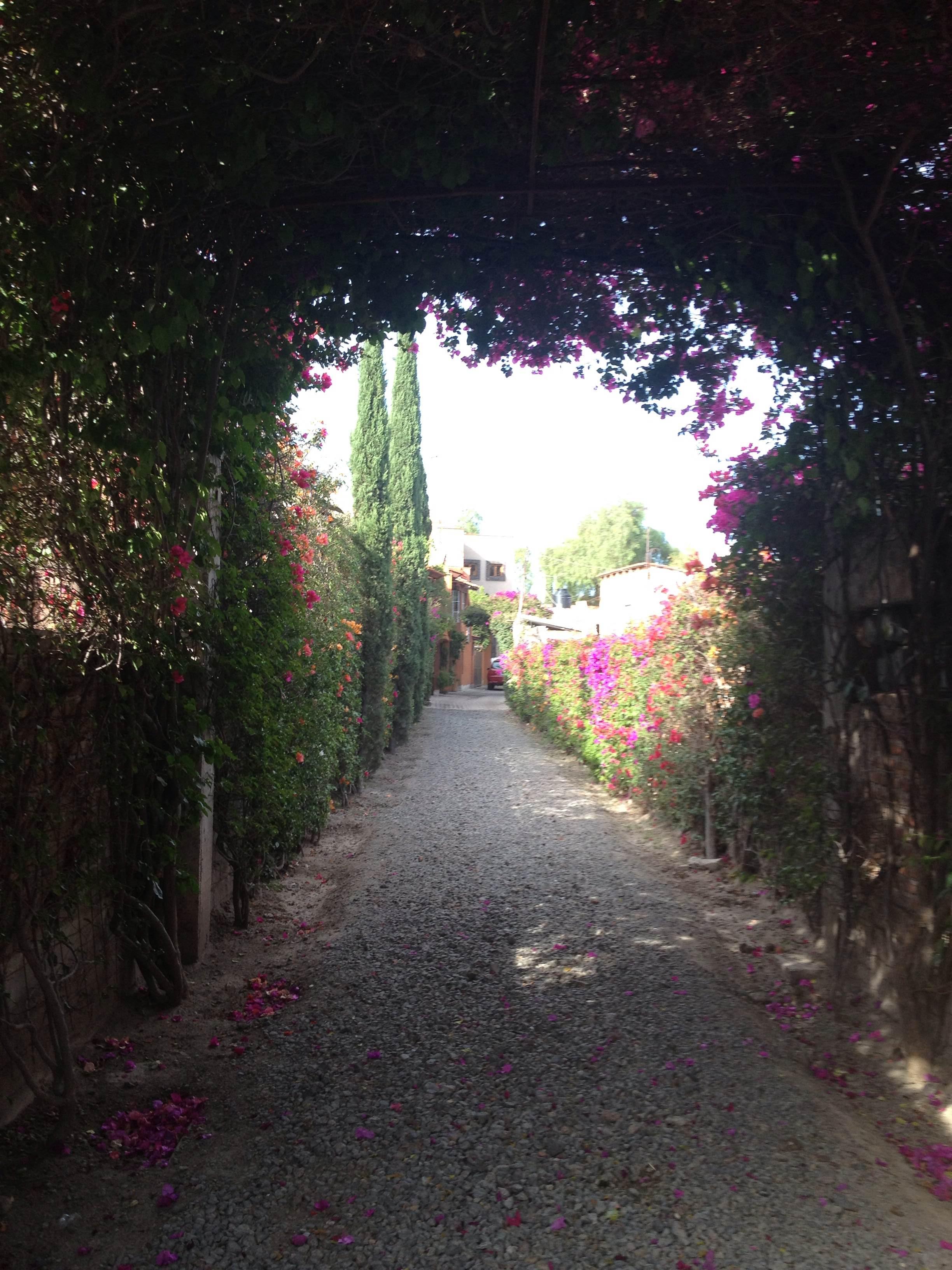 Calles De San Miguel De Allende, por ana schwarz