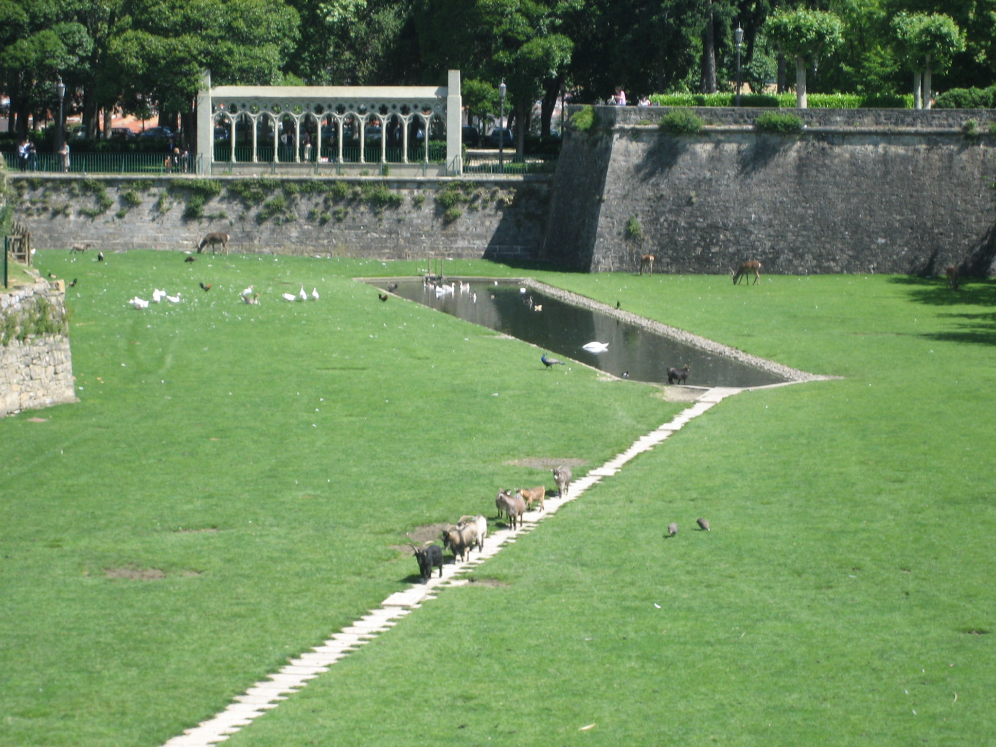 Parque La Taconera, por JMMCai