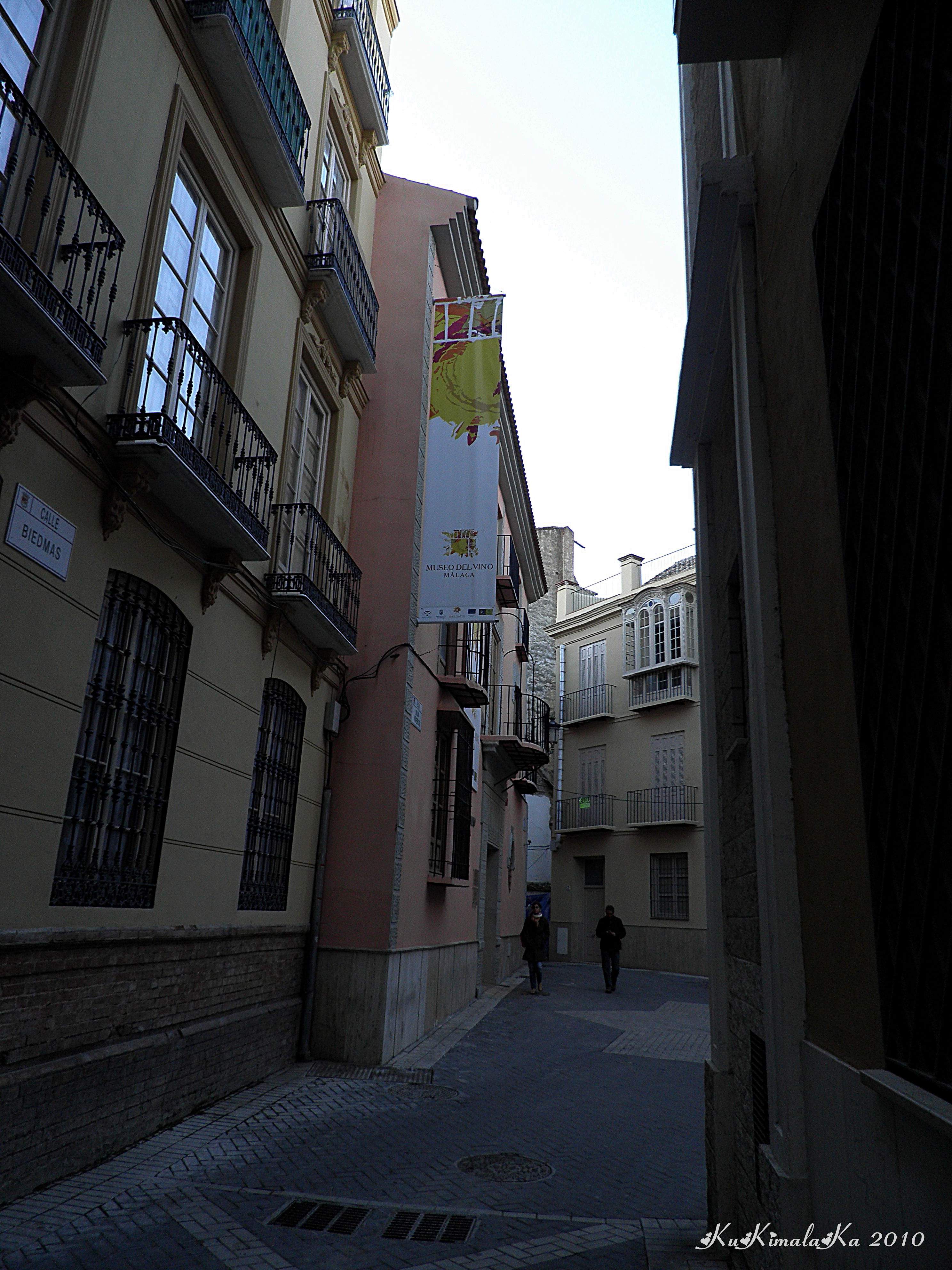 Museo del Vino Málaga, por María del Carmen Fernández Milanés