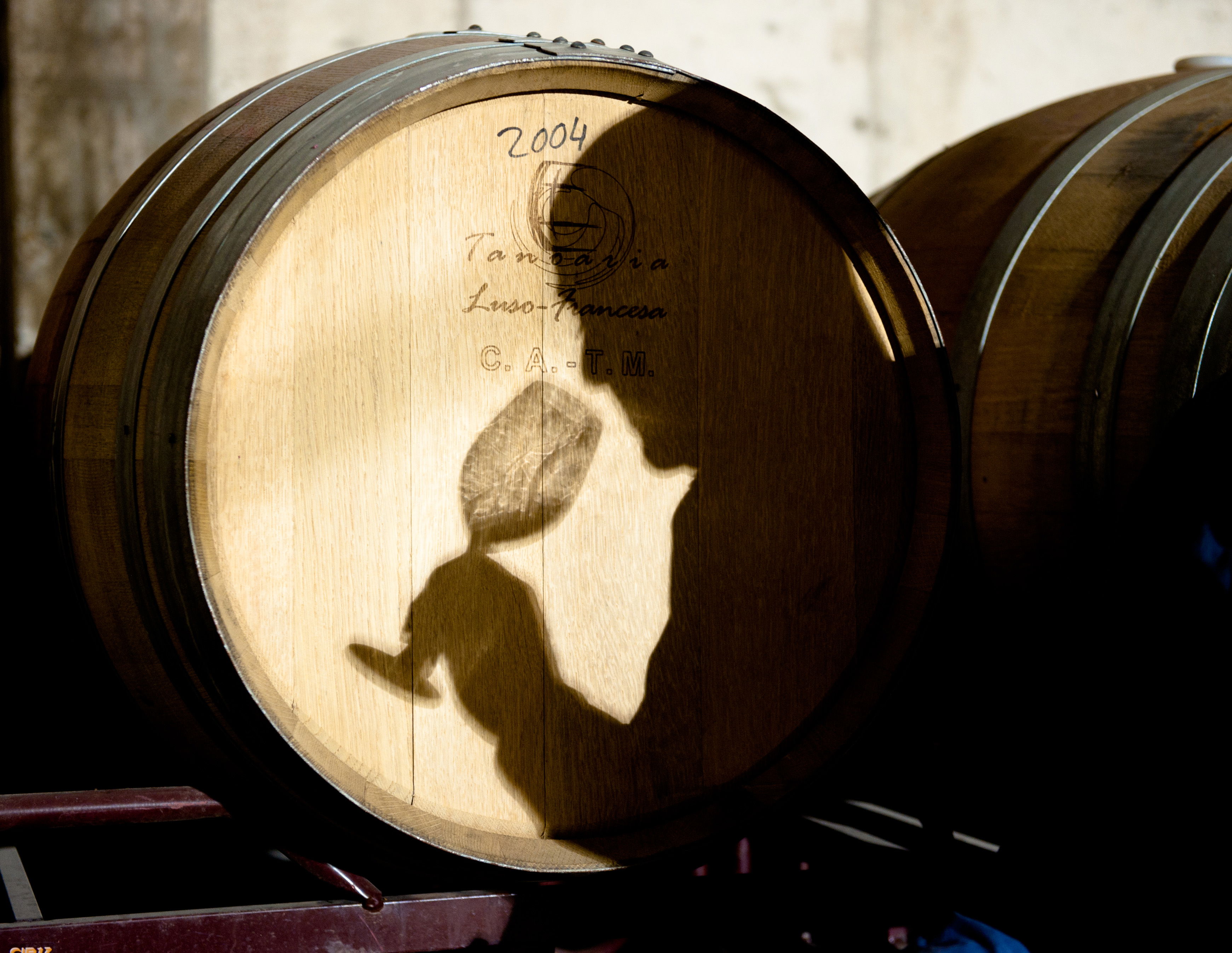 Bodega Toribio Viña Puebla, por Jose Antonio Varas