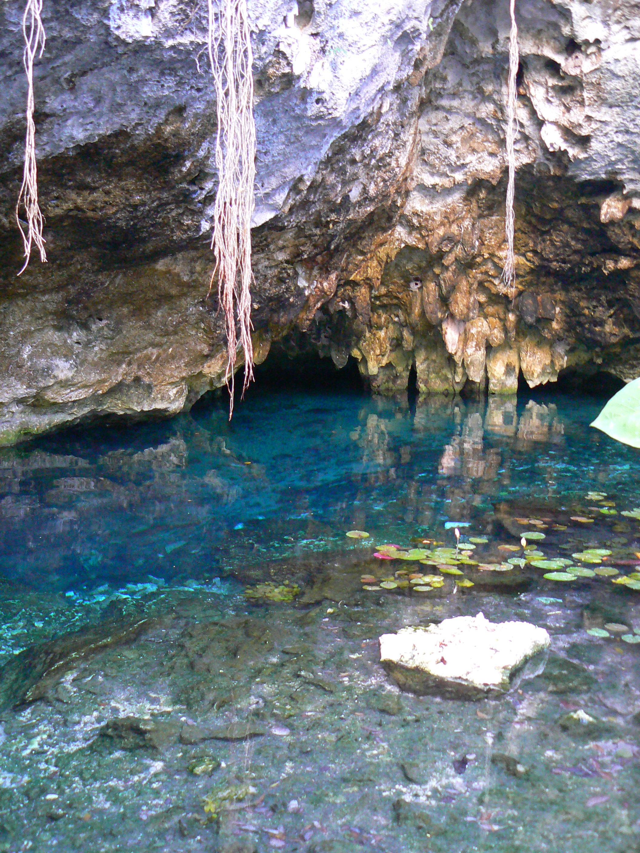 Cenotes Maya-Blu, por Maria Cruz Díaz Antunes-Barradas