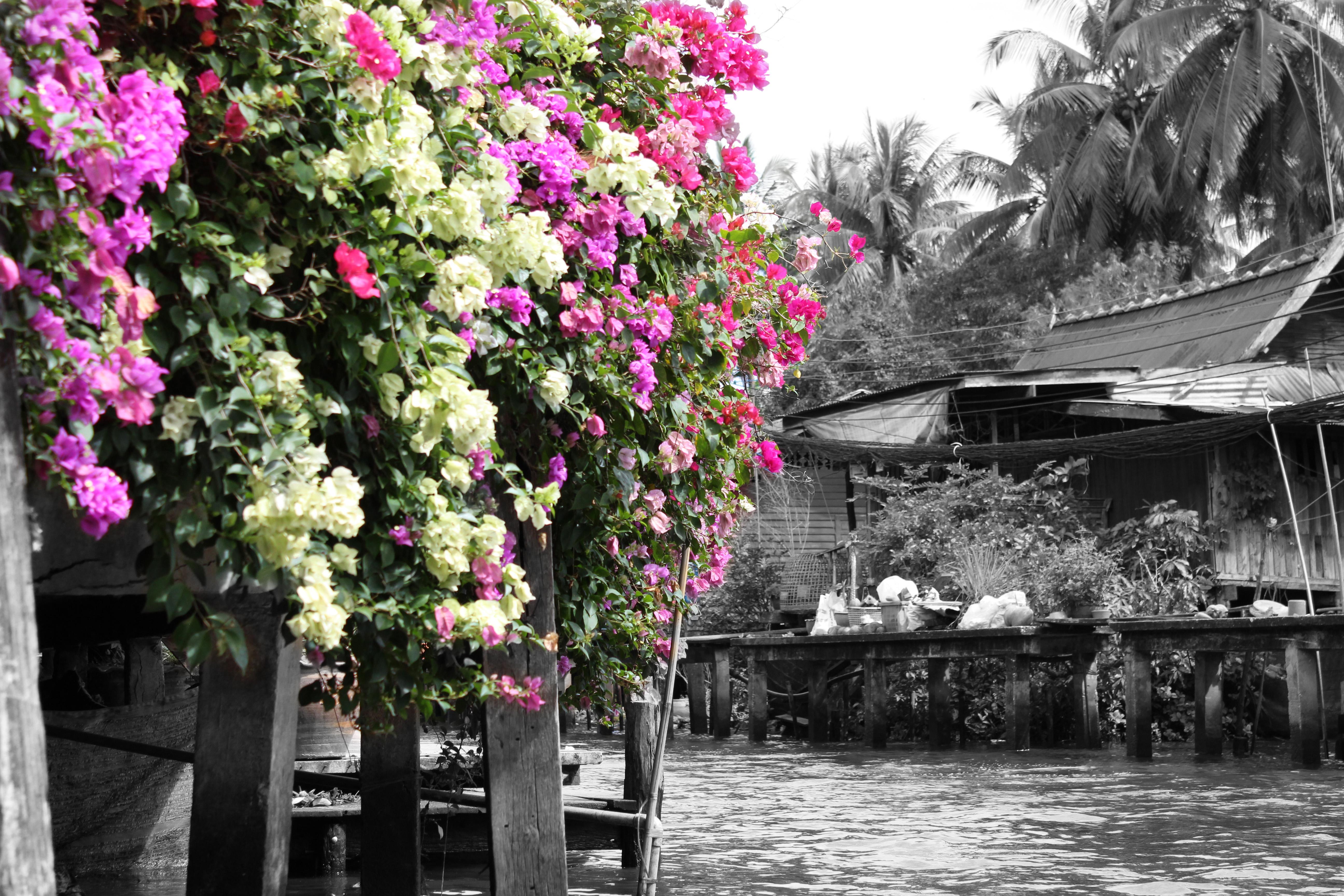 Los mercados callejeros con más encanto de Bangkok