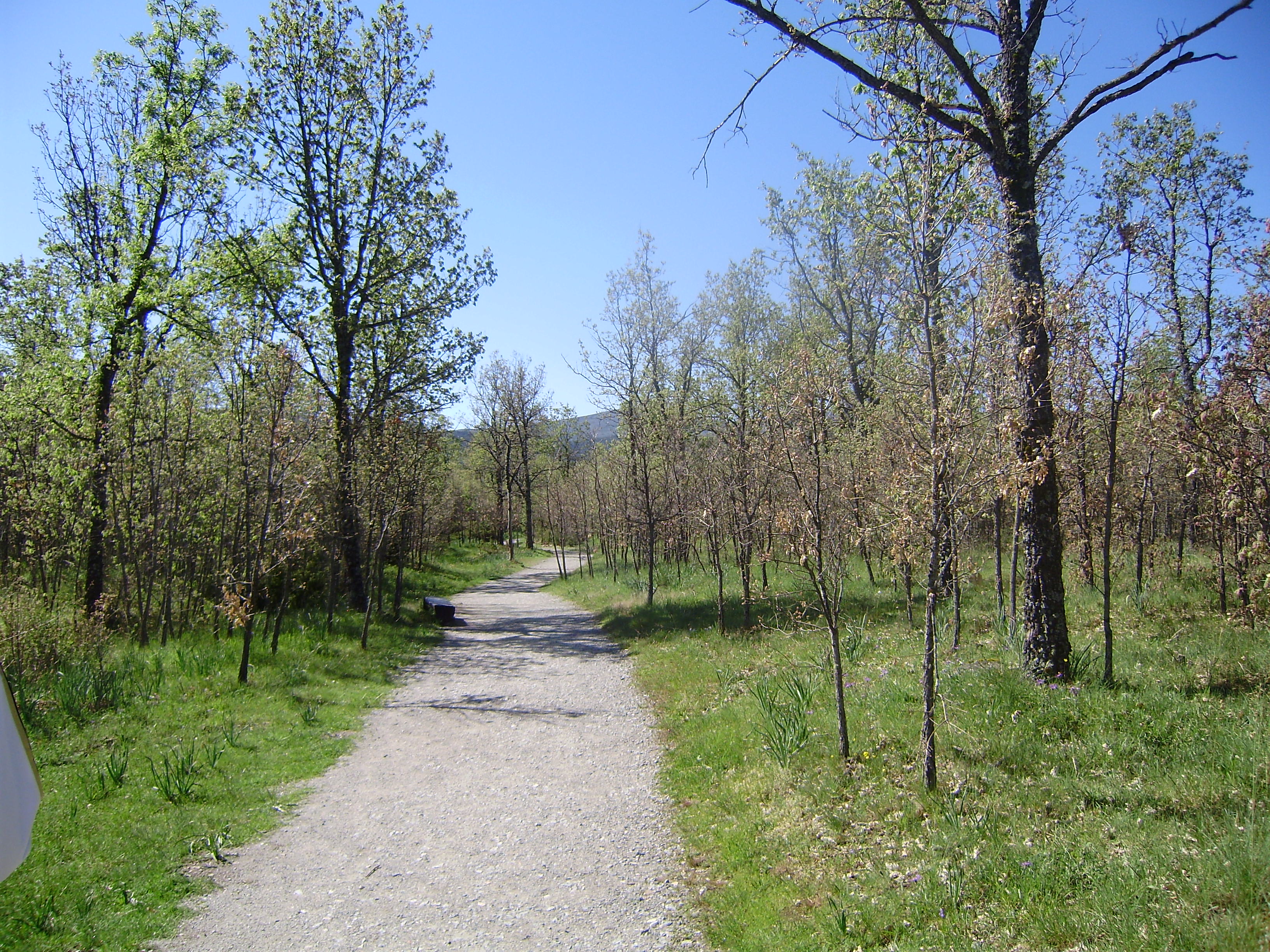 Ruta de las Cascadas del Purgatorio, por Saudade