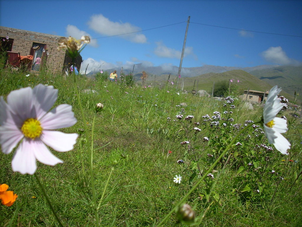 Tafi del Valle, por AyelenSalerno