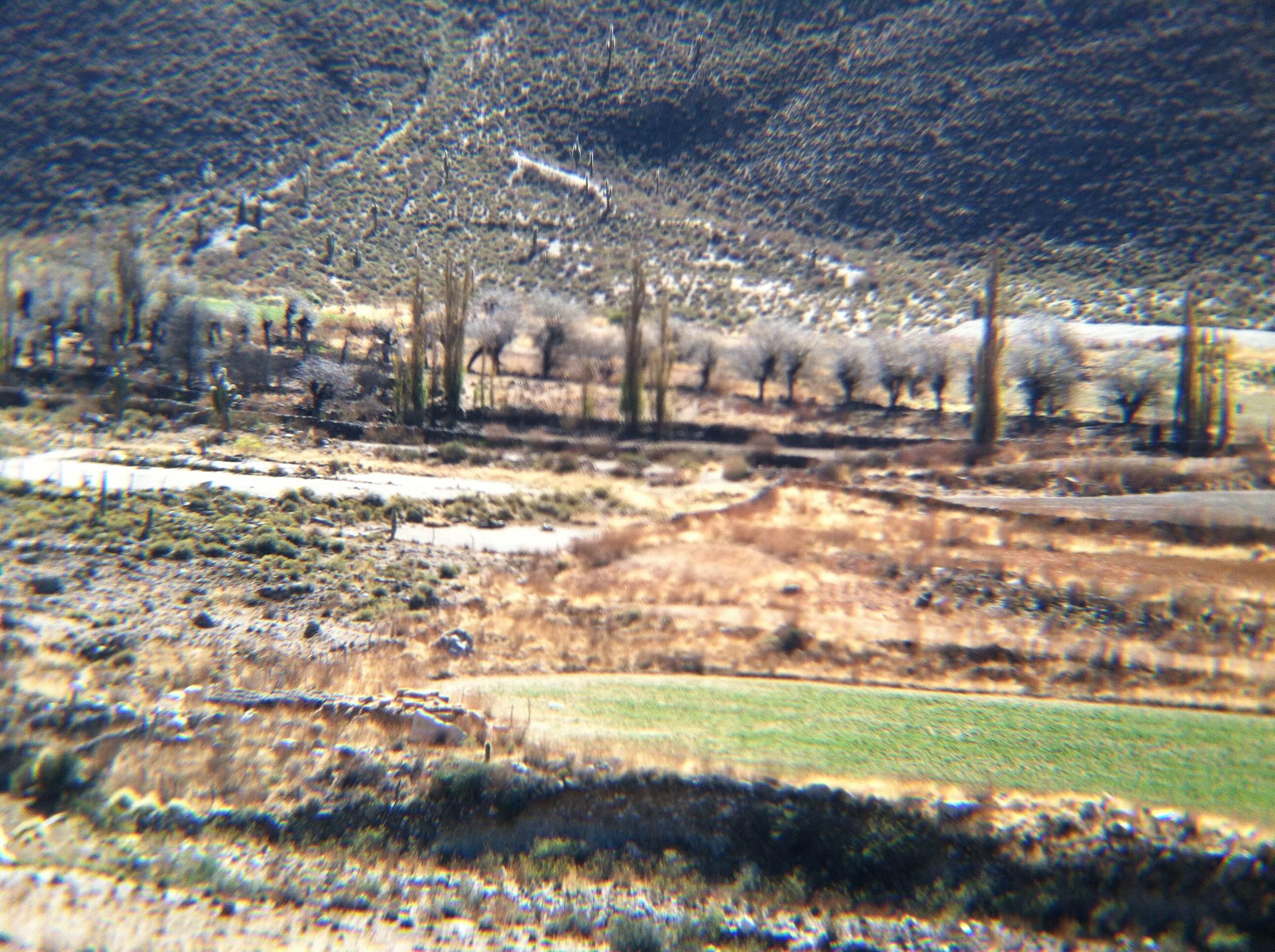 Valle de Calchaquíes, por Gustavo Iovino