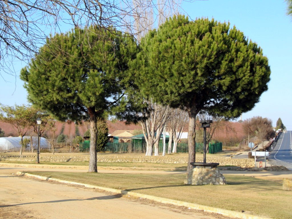 Parque La Fontanilla, por Lala