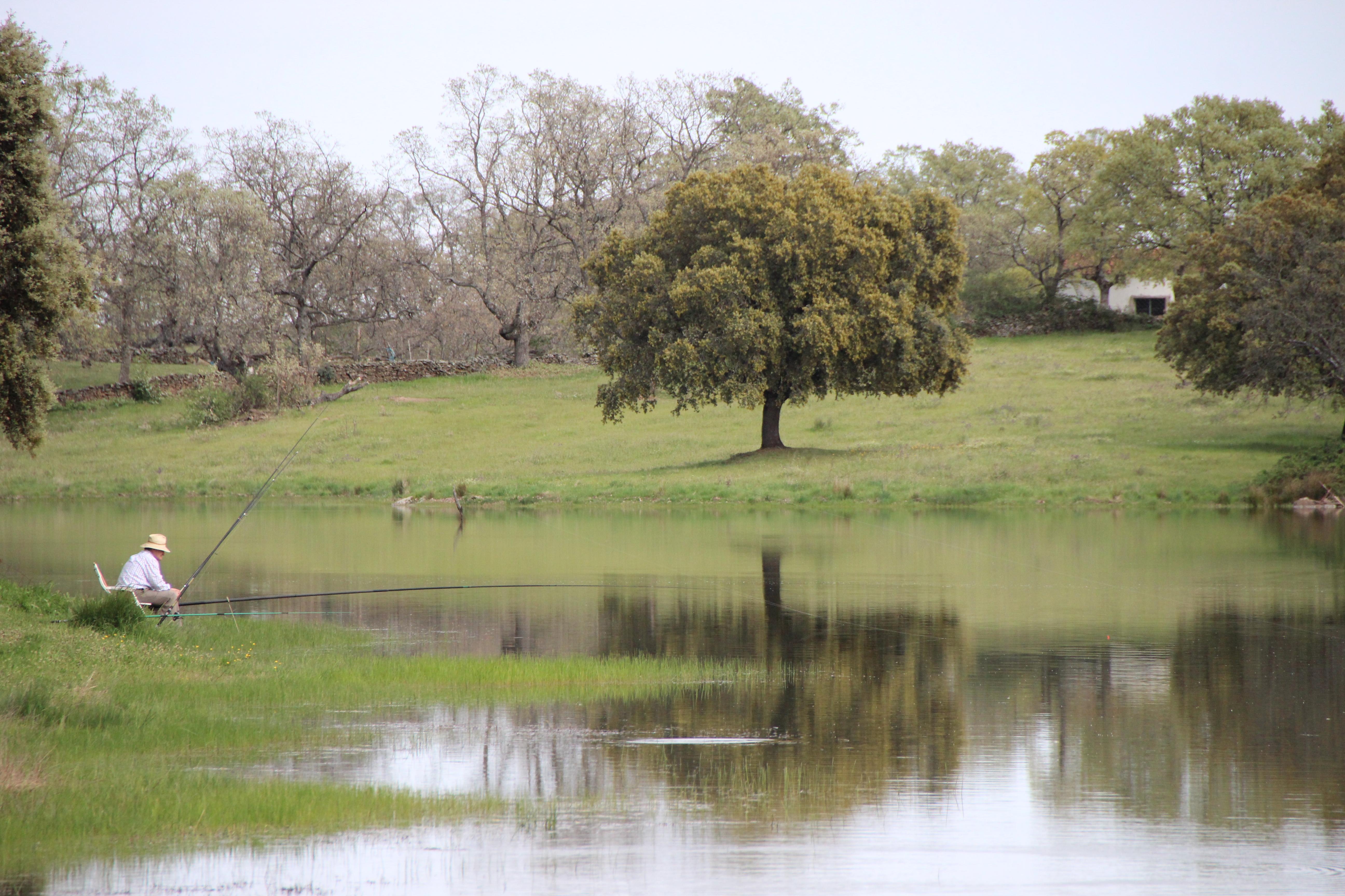 Lagos en Cáceres: refugios de naturaleza para disfrutar y desconectar