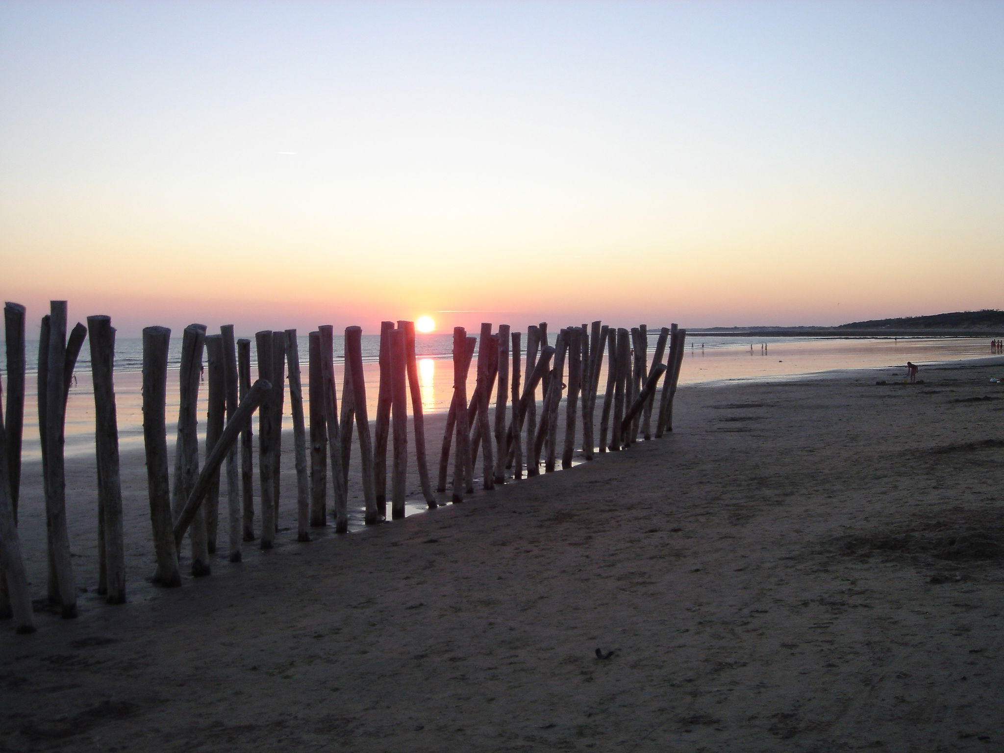 Playa del bosque verde, por lemathurin