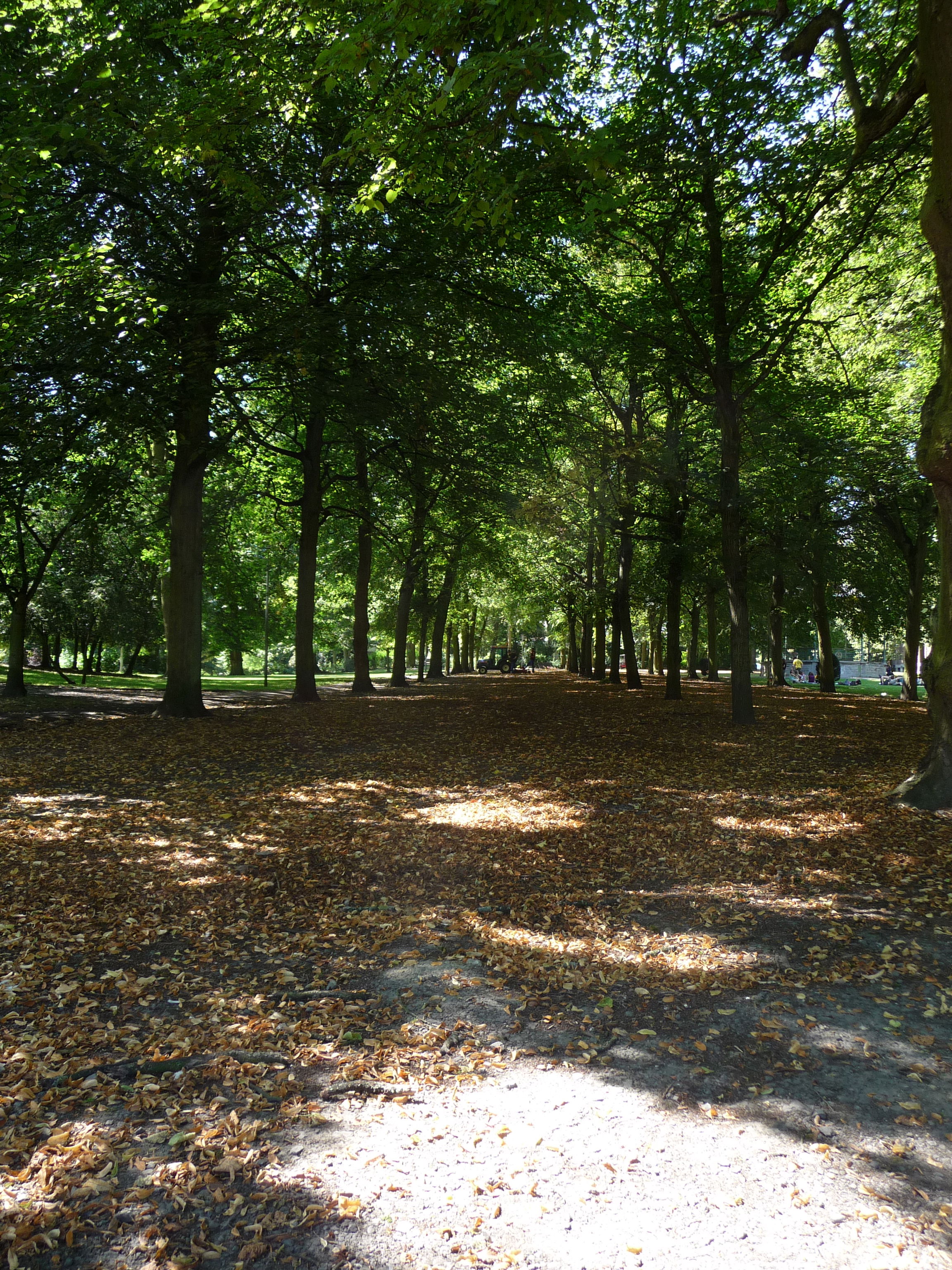 Parc Reine Astrid, por France Dutertre