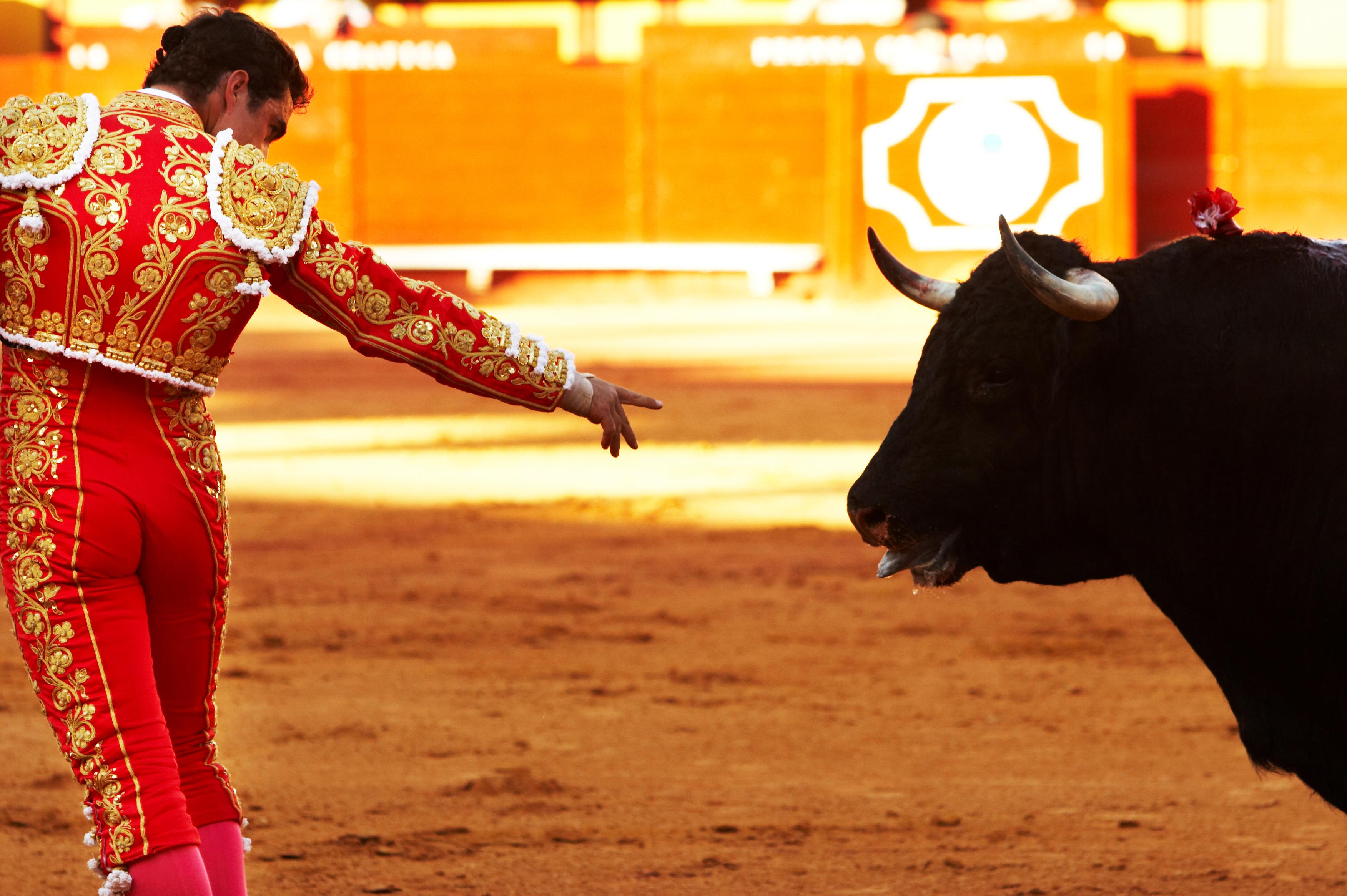 Plaza de Toros Monumental La Paloma, por Miguel Michán