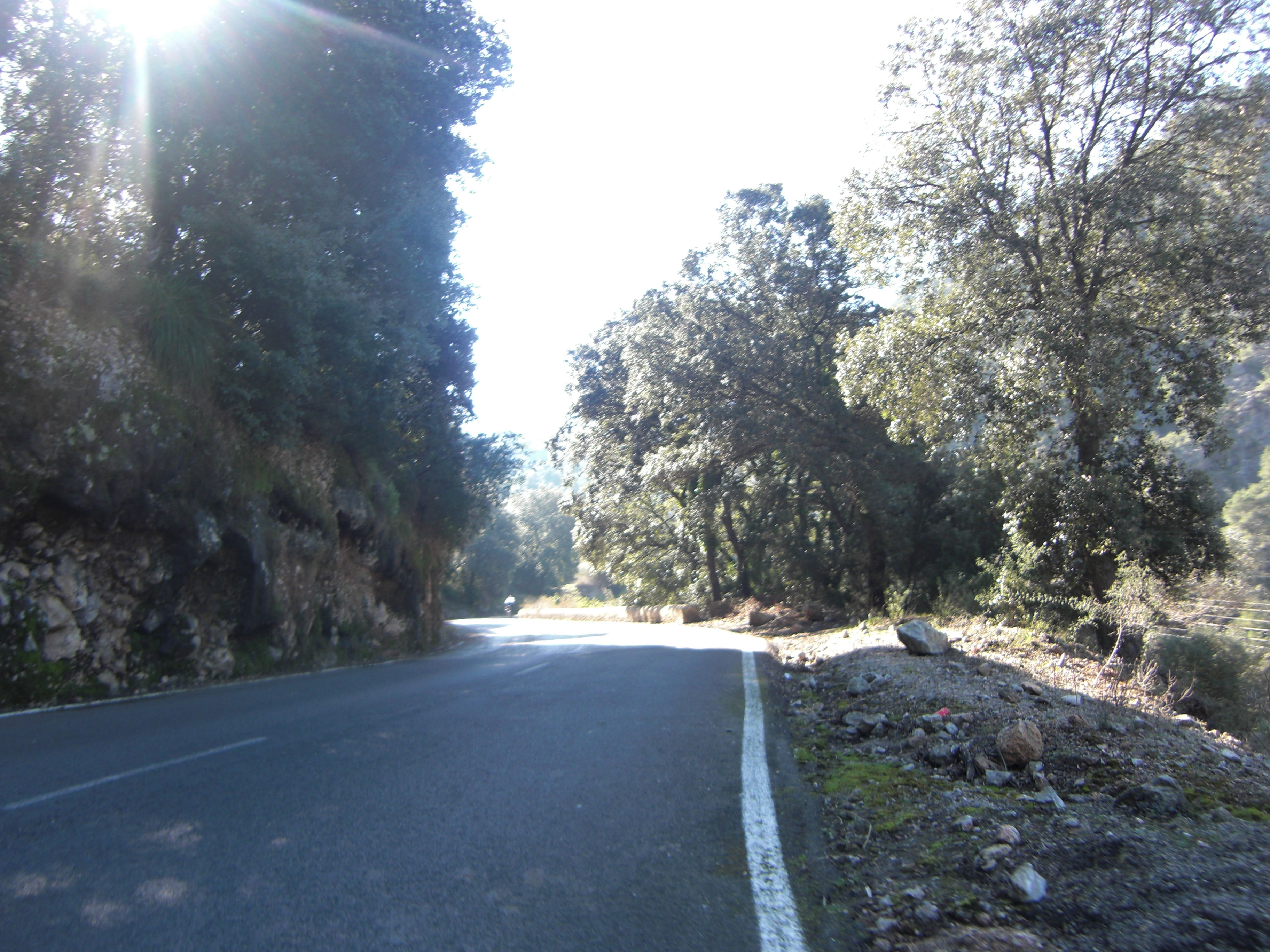 De Soller a Palma, por Rikkupikku