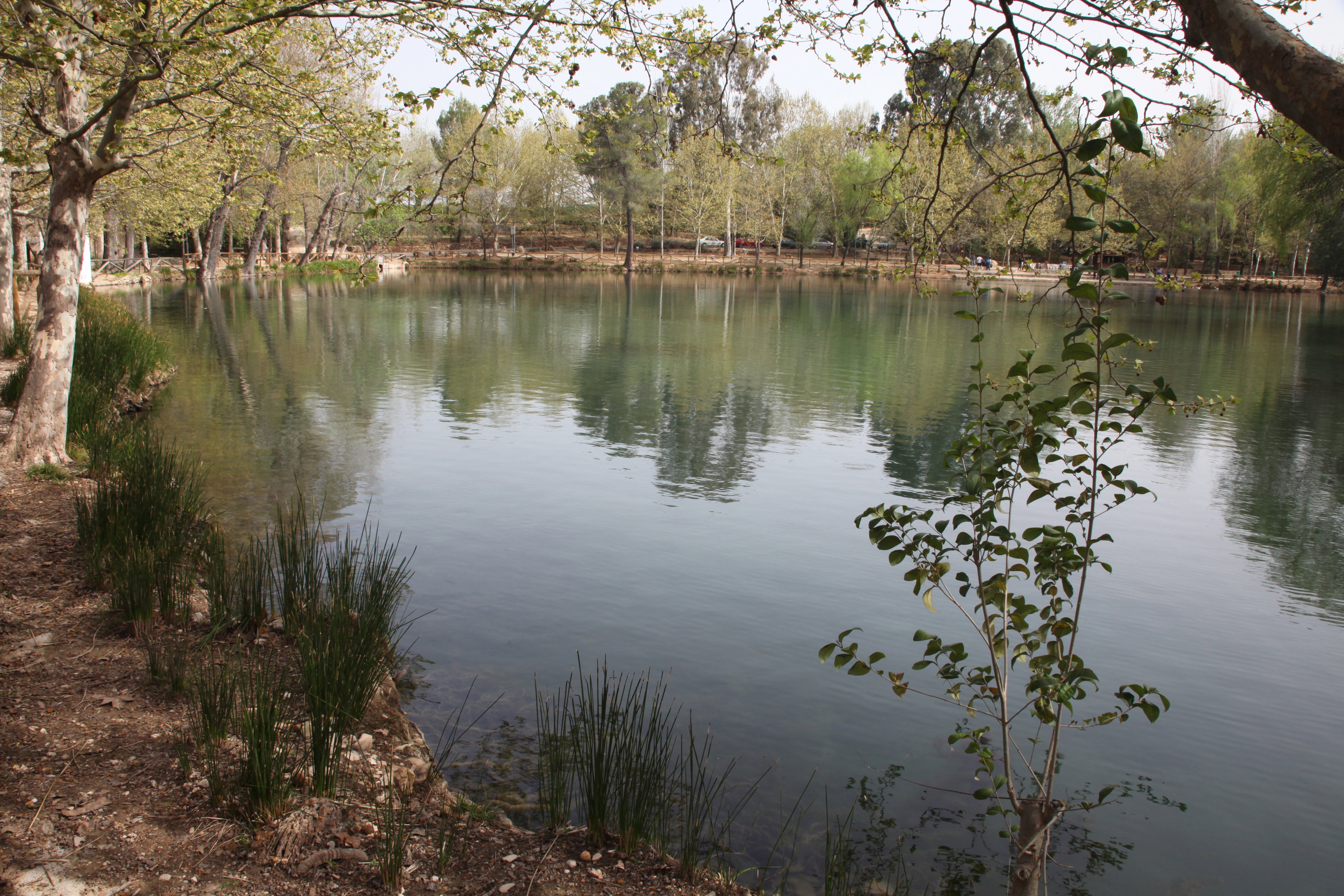 El Lago de Anna, por Juan Perez Garcia
