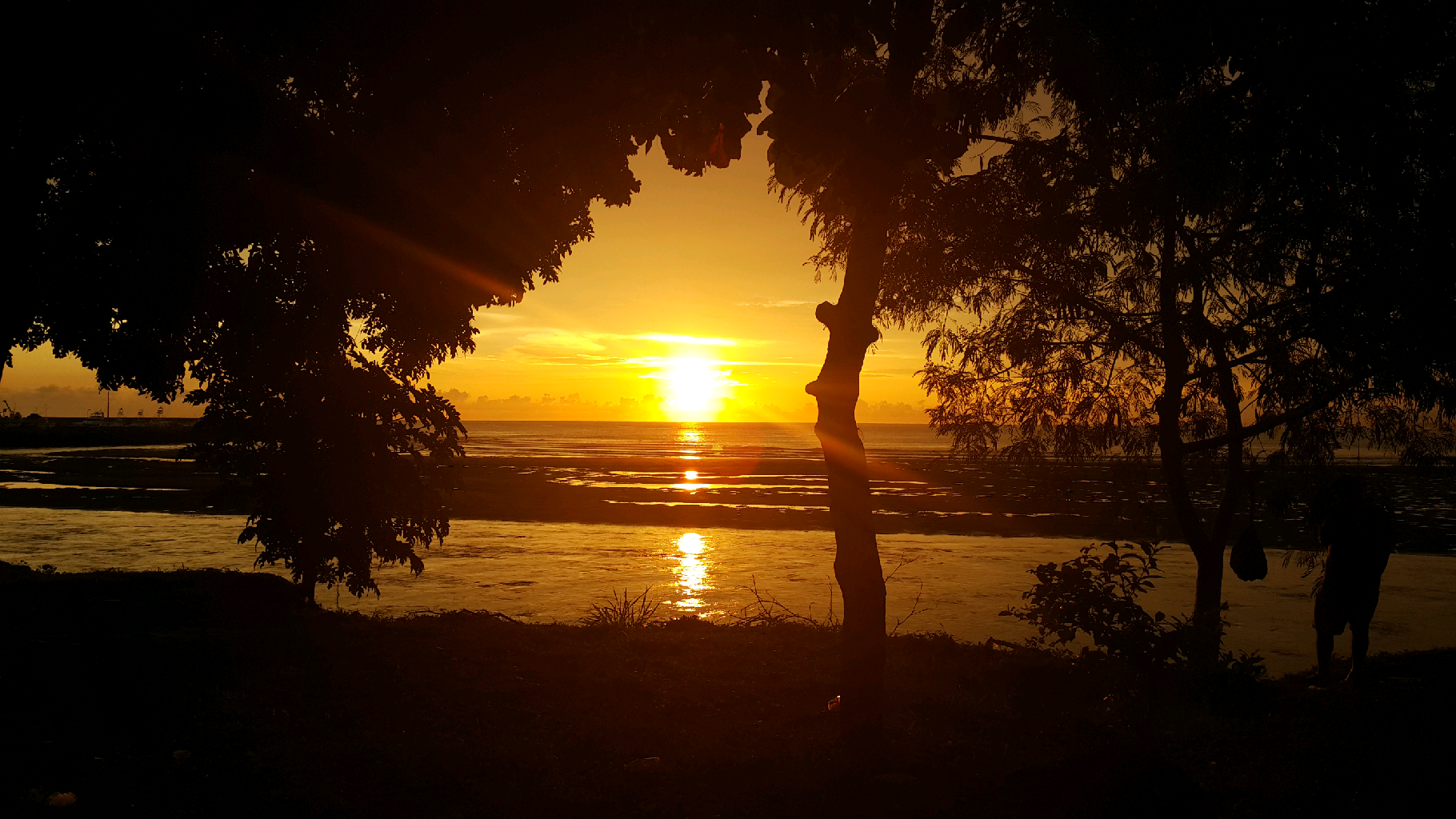 Experiencias únicas de vida nocturna en Costa Rica que no te puedes perder