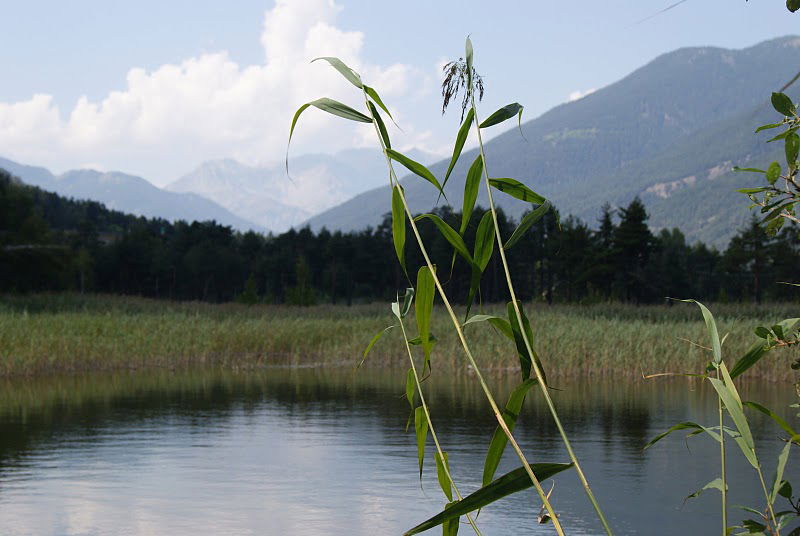 Lago Borello, por Katiu