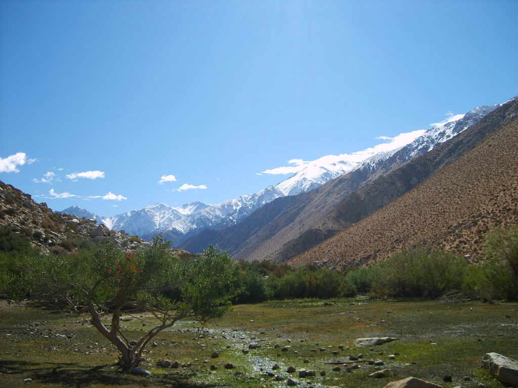 Valle de Elqui, por gianni