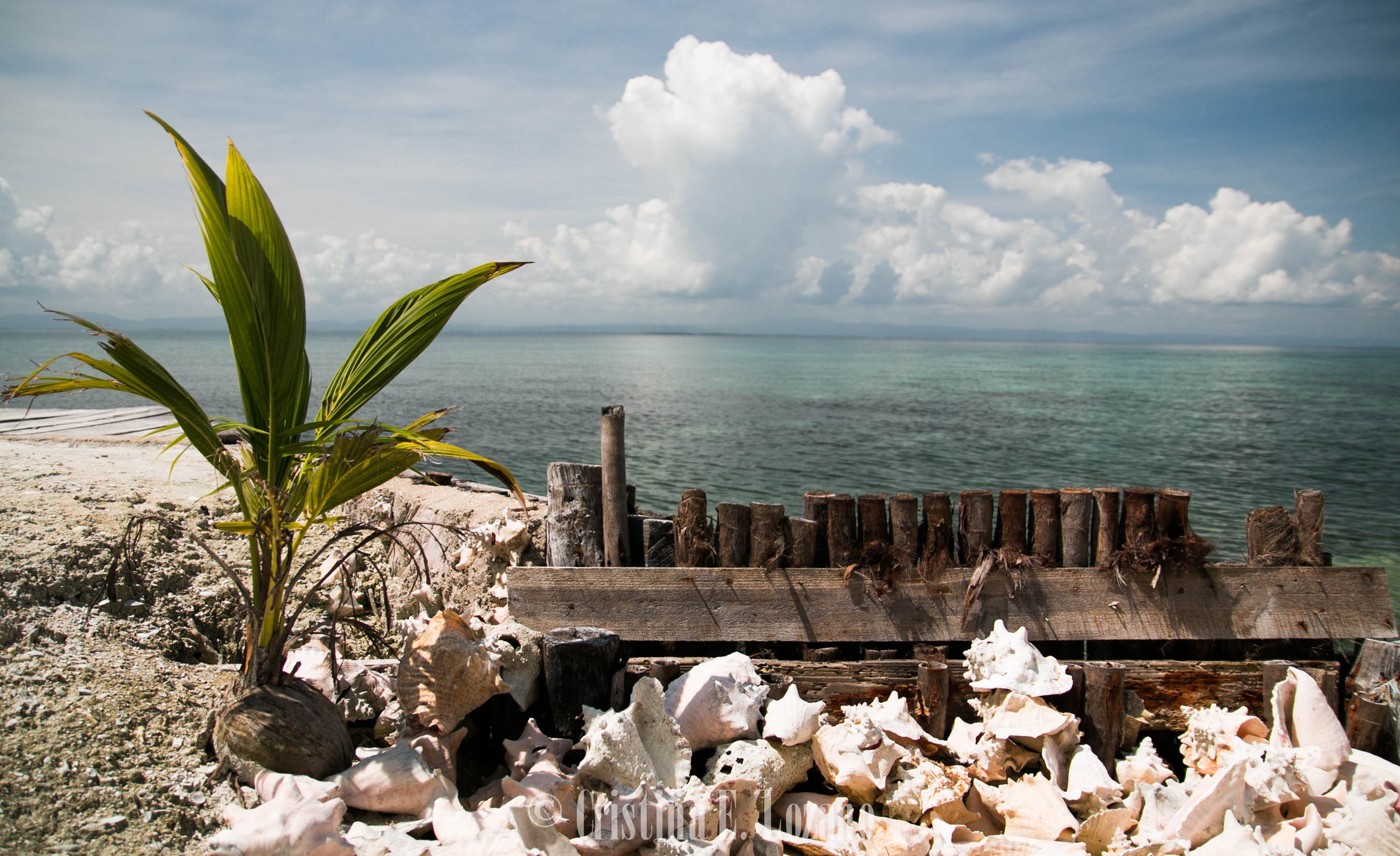 Bread and Butter Caye, por Cristina E Lozano