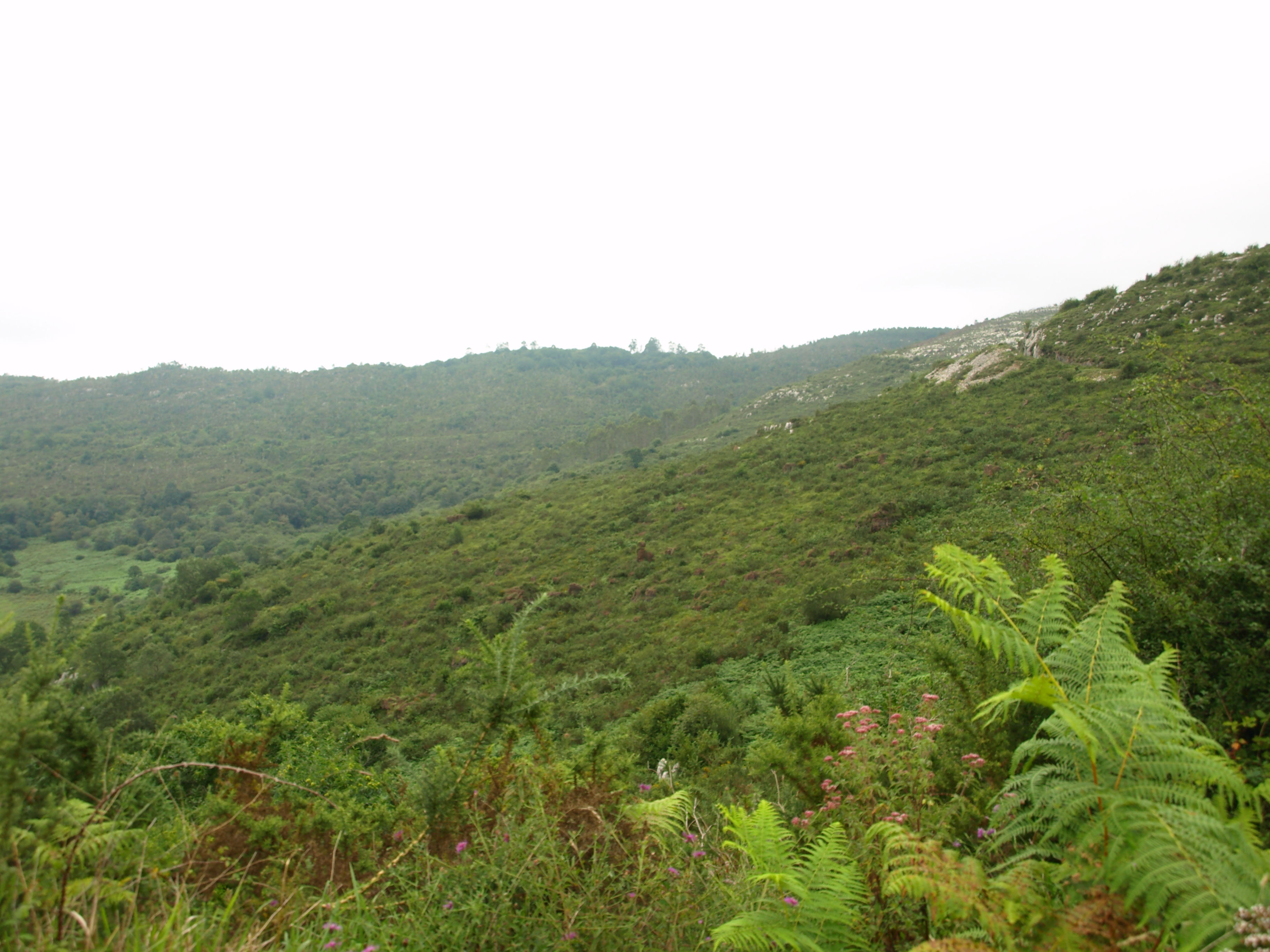 Sierra de Udias, por jesus lopez del castillo