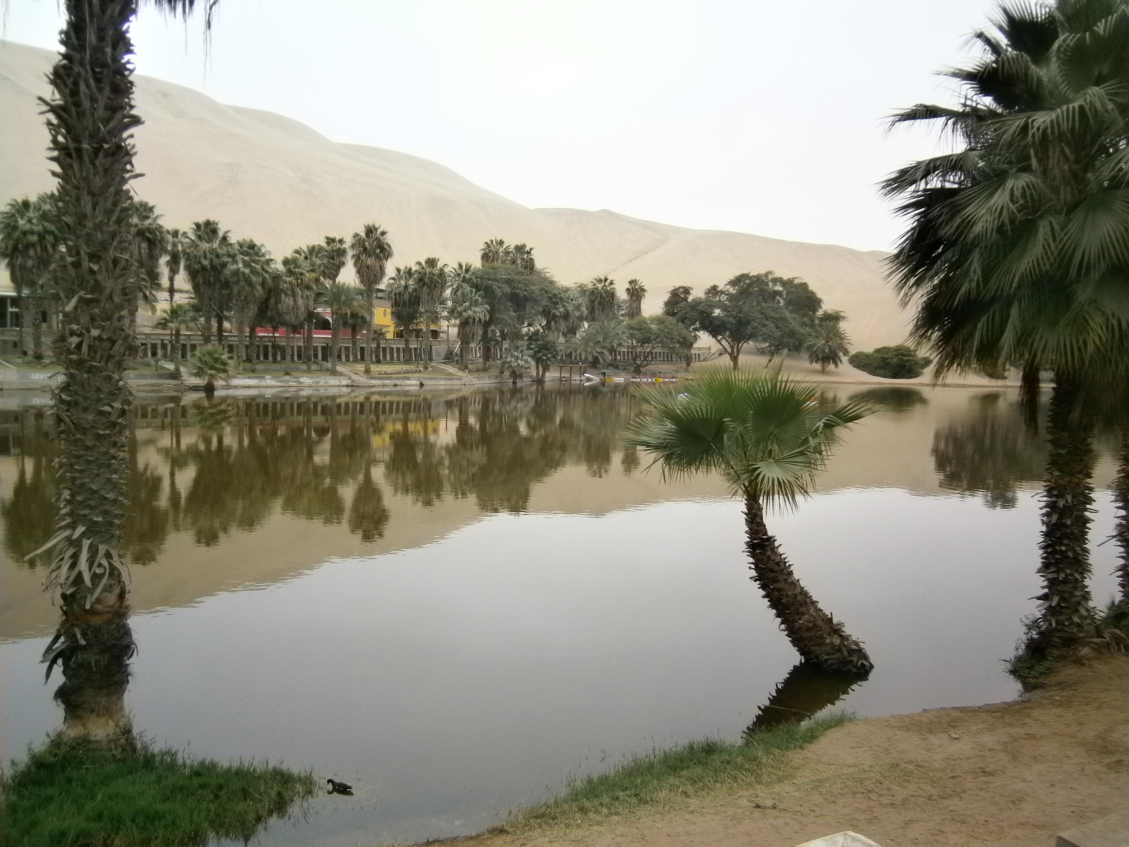 Laguna de Huacachina, por jessiedani
