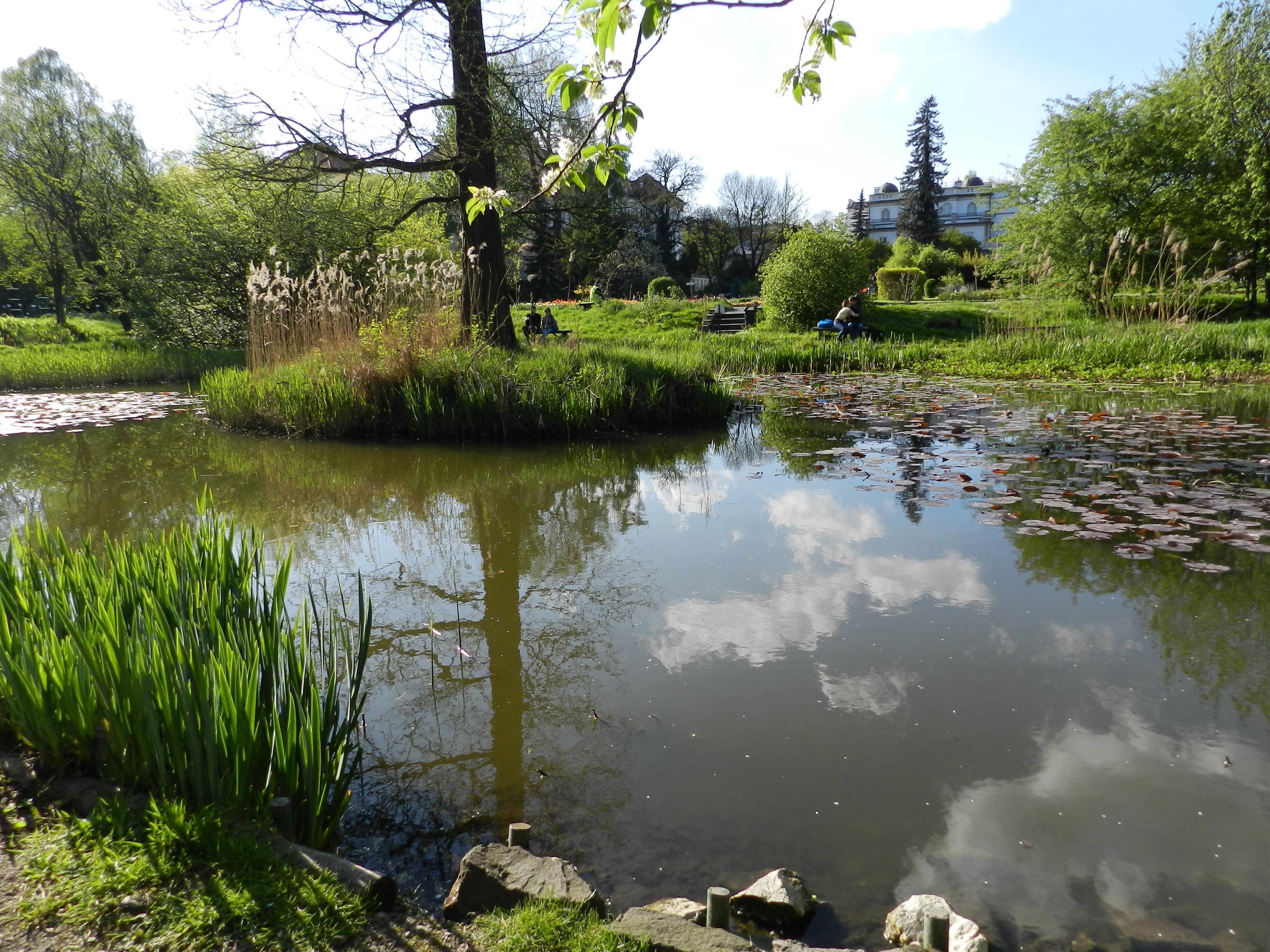 Jardines en Cracovia: un oasis de calma y belleza natural