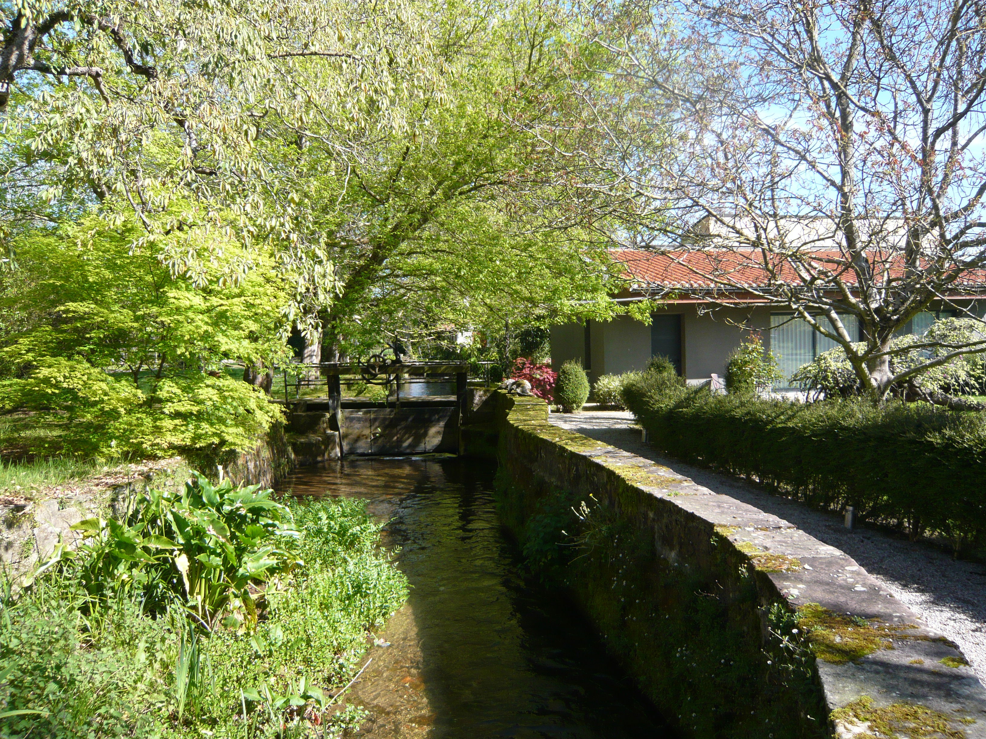 Hotel Jardin de Carrejo, por ISABEL ALVAREZ GARCIA