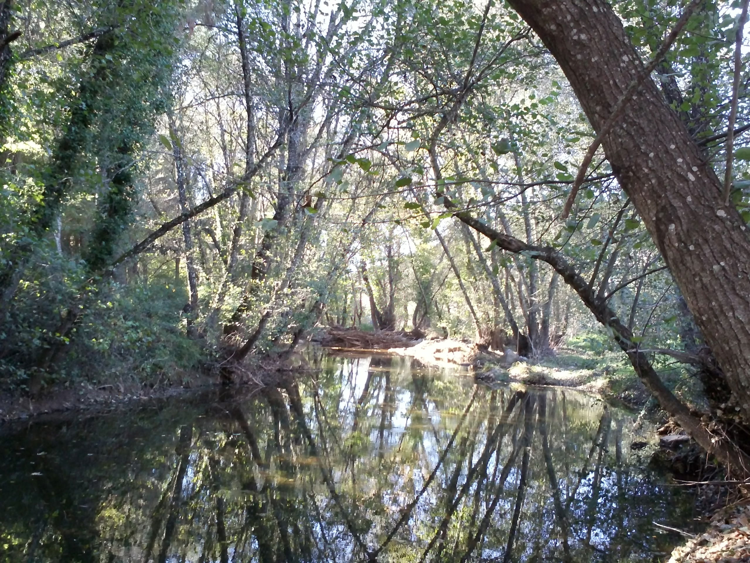 Rio Huesnar, por jose luis oviedo
