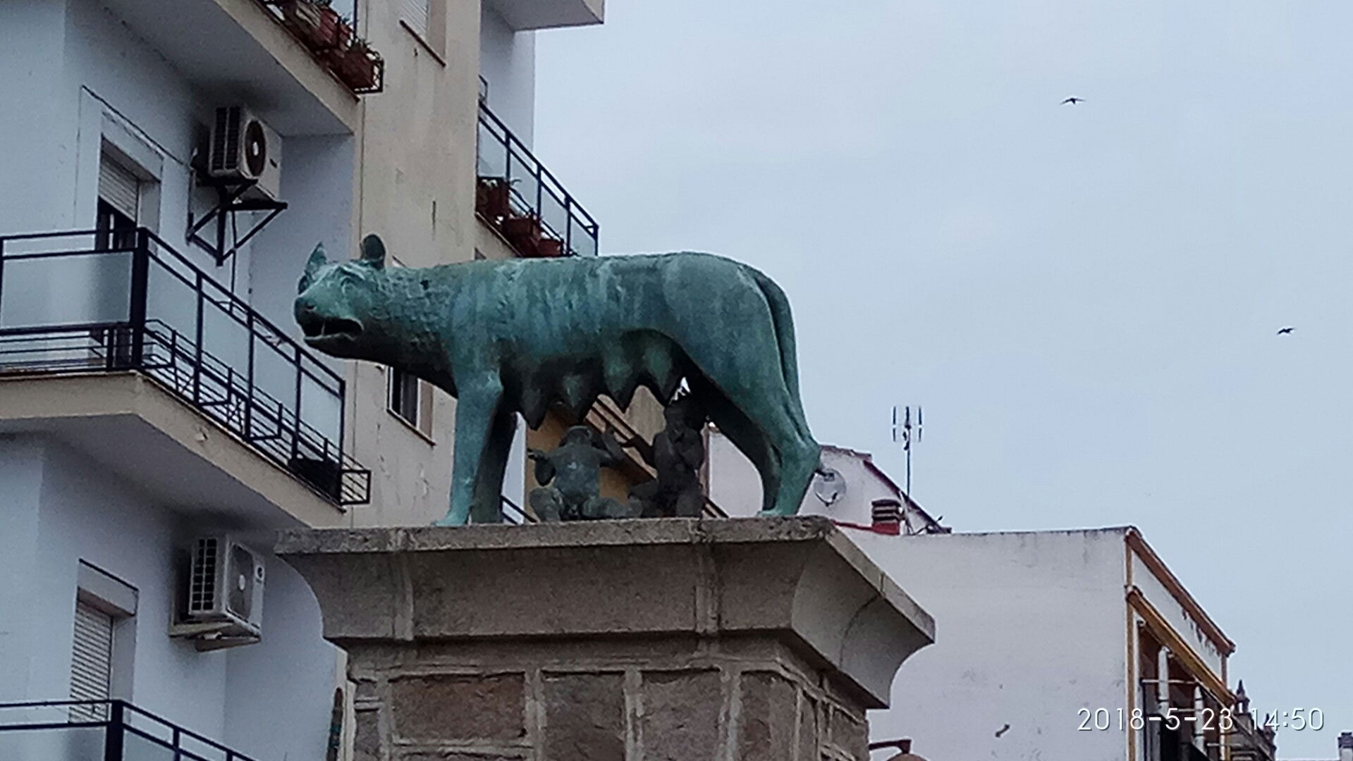 Loba Capitolina - Merida, por Elias SANCHEZ DE LOS SILOS SALAS