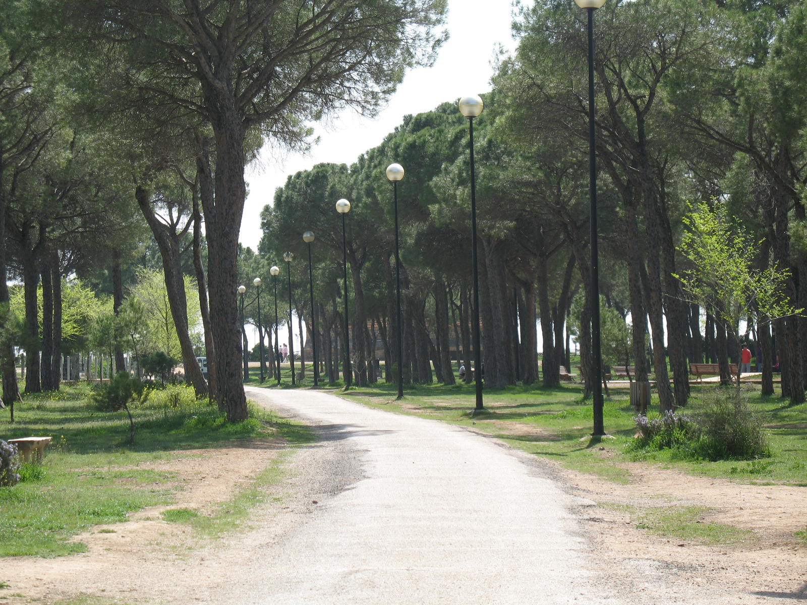 Parque Periurbano "LA PULGOSA": Relax en la ciudad, por miguel a. cartagena
