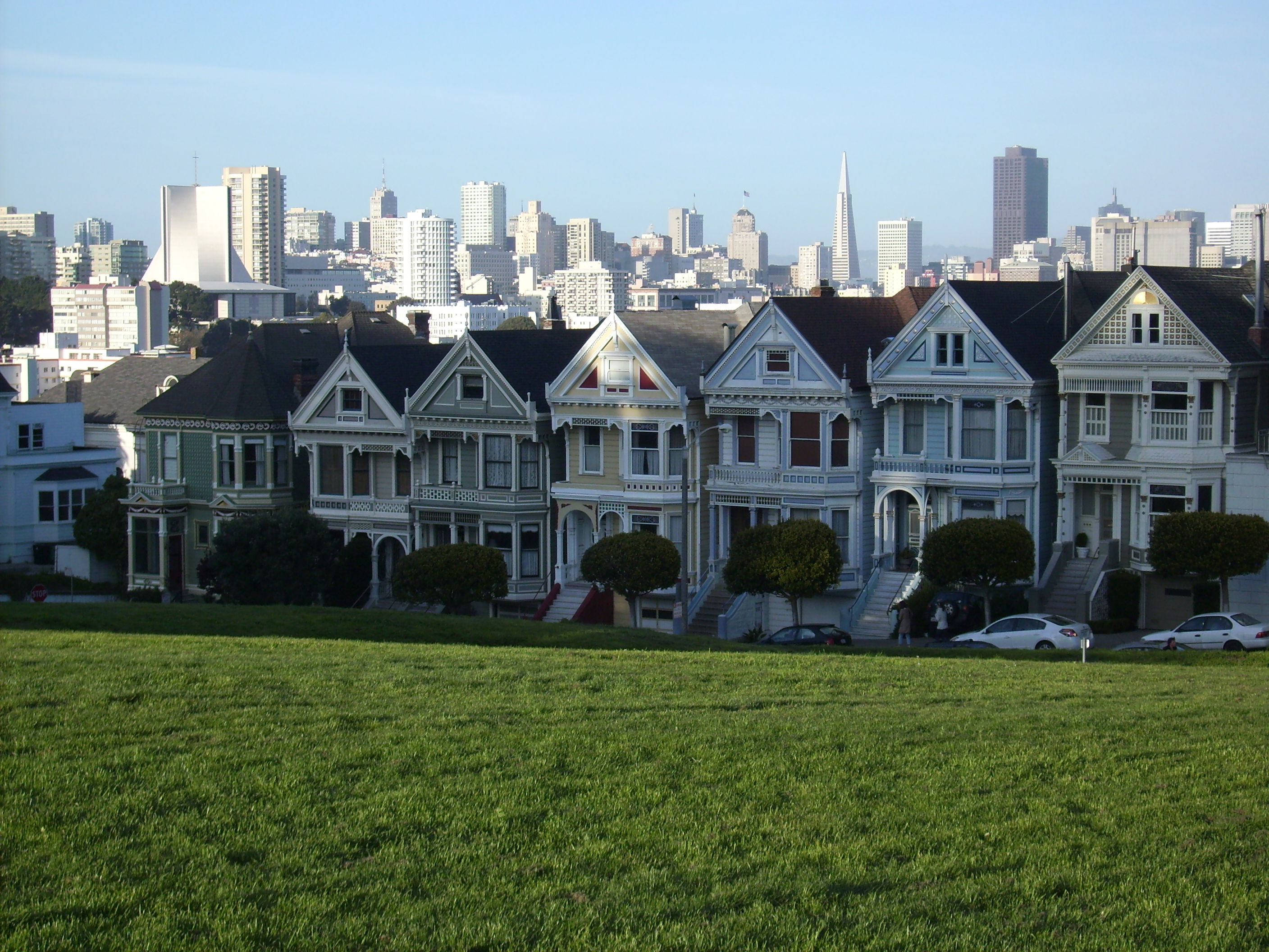 Painted ladies, por caradura