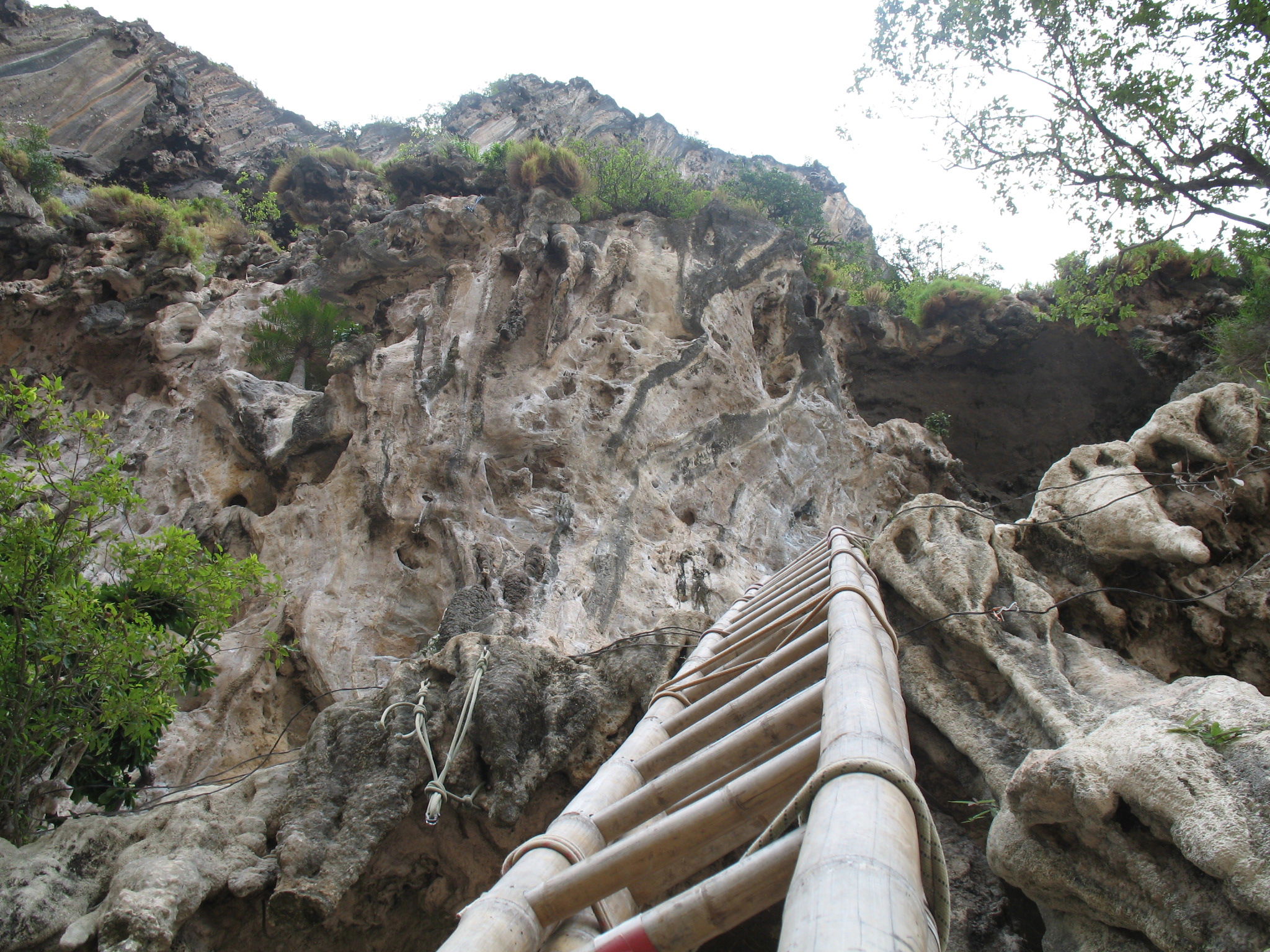 Roca de Tonsai, por miguel a. cartagena