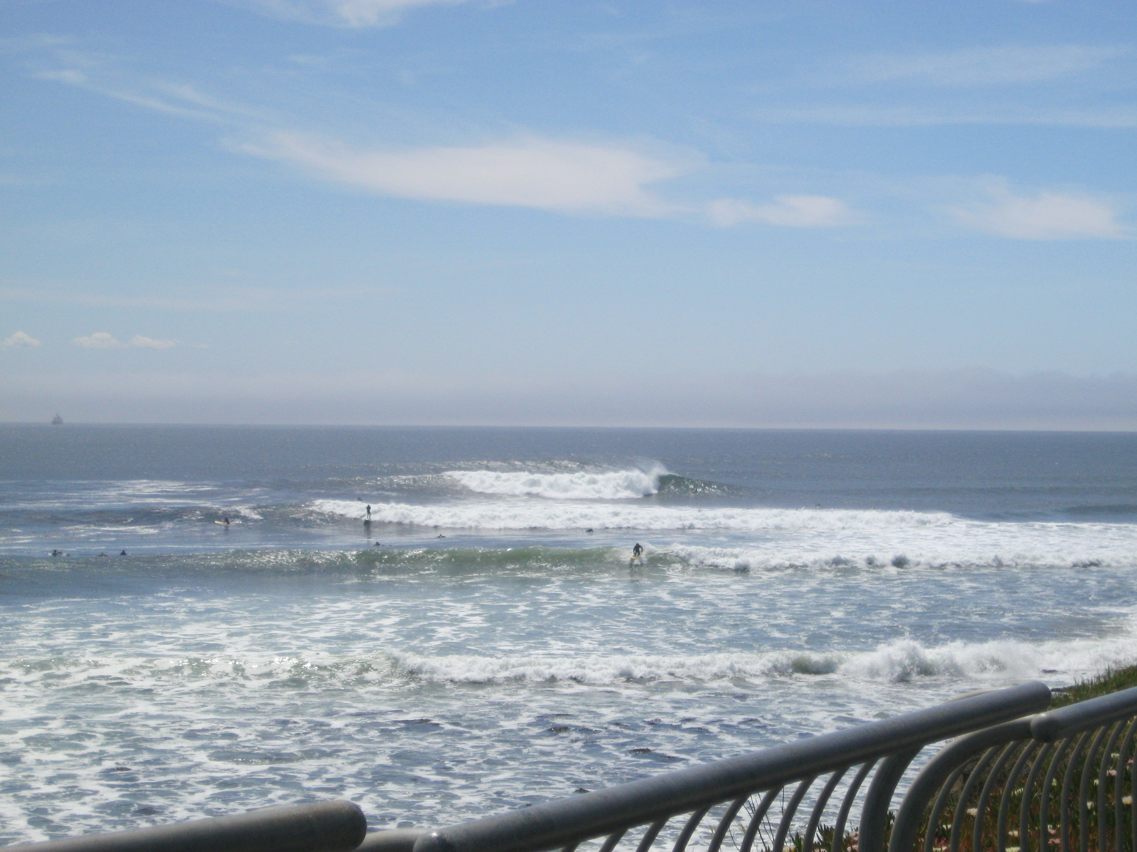 Lighthouse Field State Beach in Santa Cruz 1 reviews and 16 photos