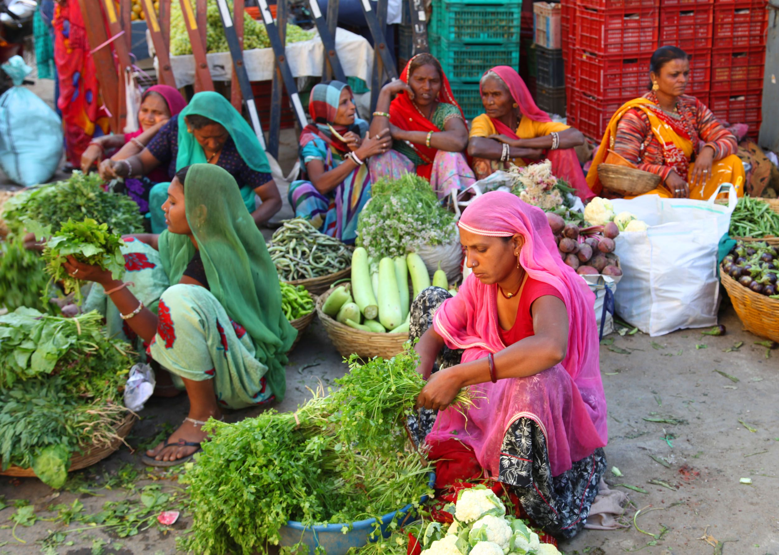 Mandi Market, por GERARD DECQ