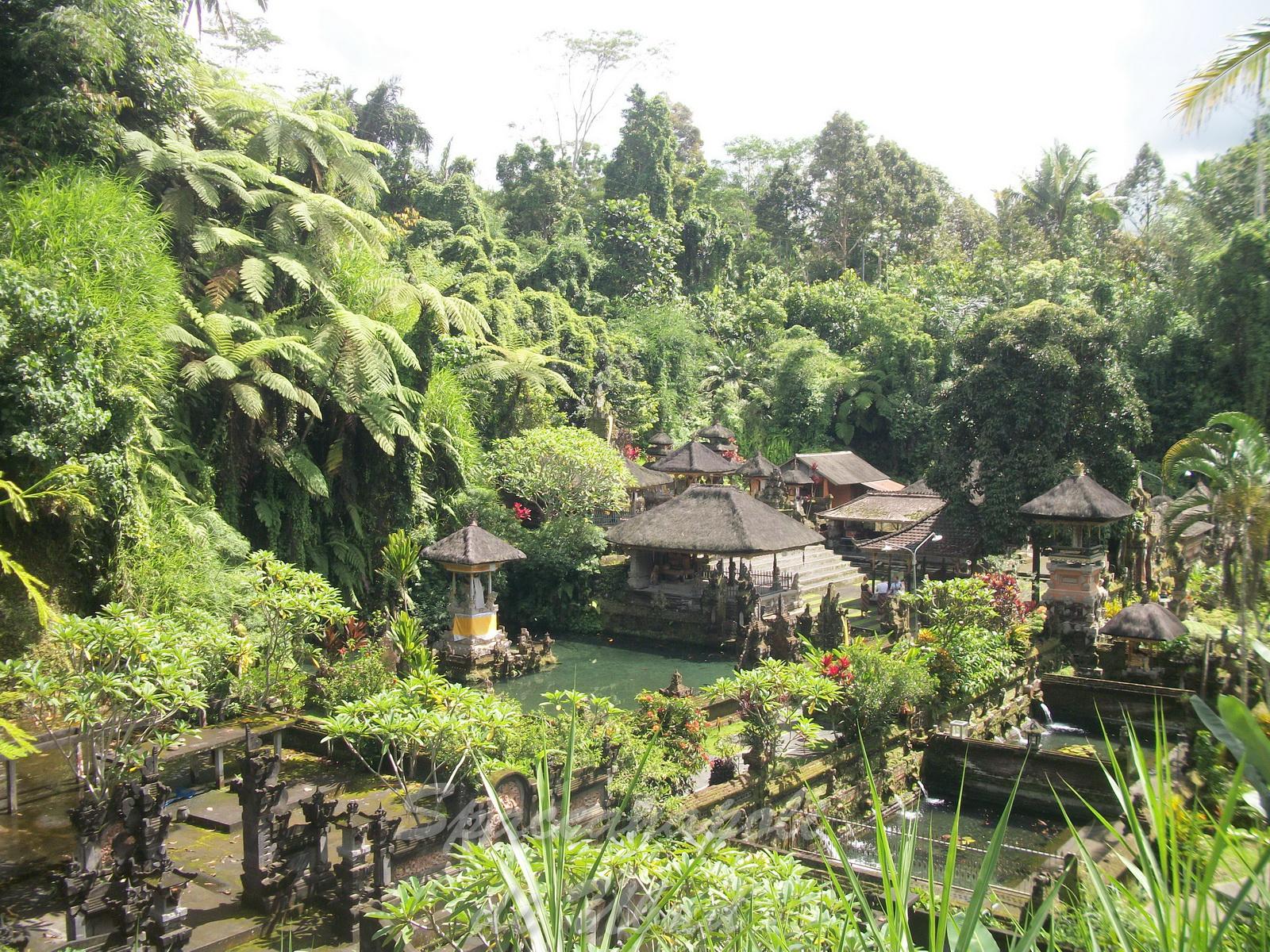 Campos de Arroz de Ubud - Tegallalang, por Spaccanapoli Ubud