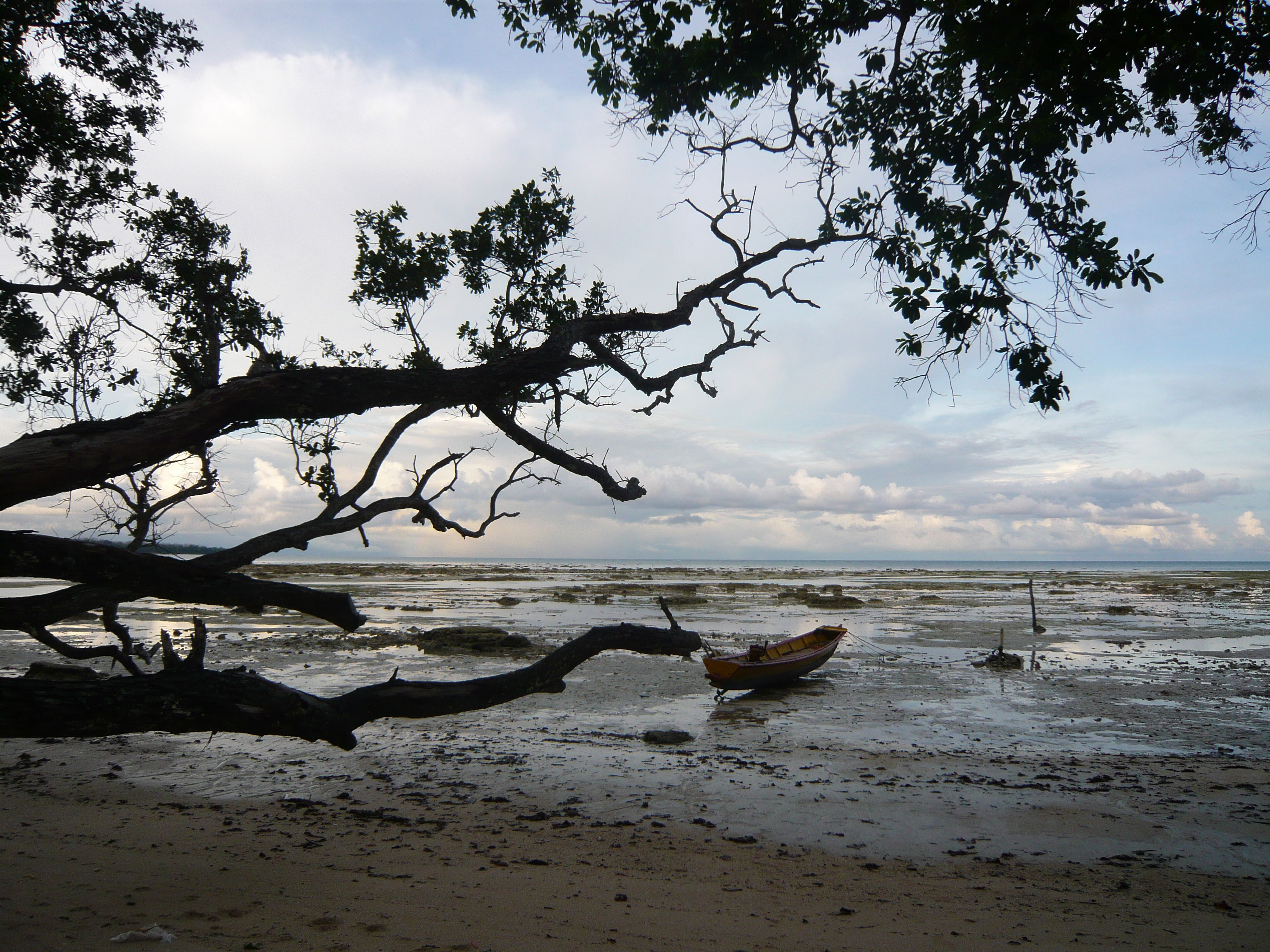 Havelock Island, por David Lopez