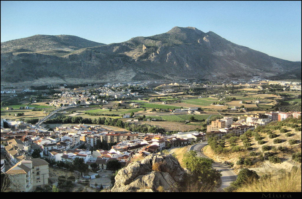 Loja, por Miura