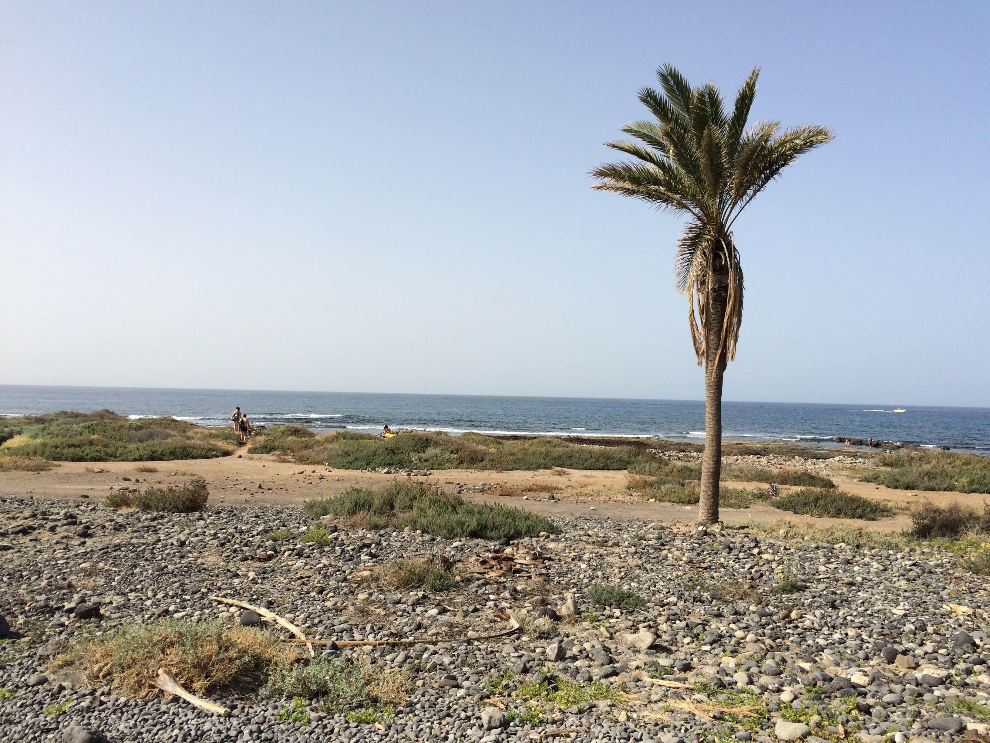 Calles de Playa de las Américas: un paseo por su encanto turístico