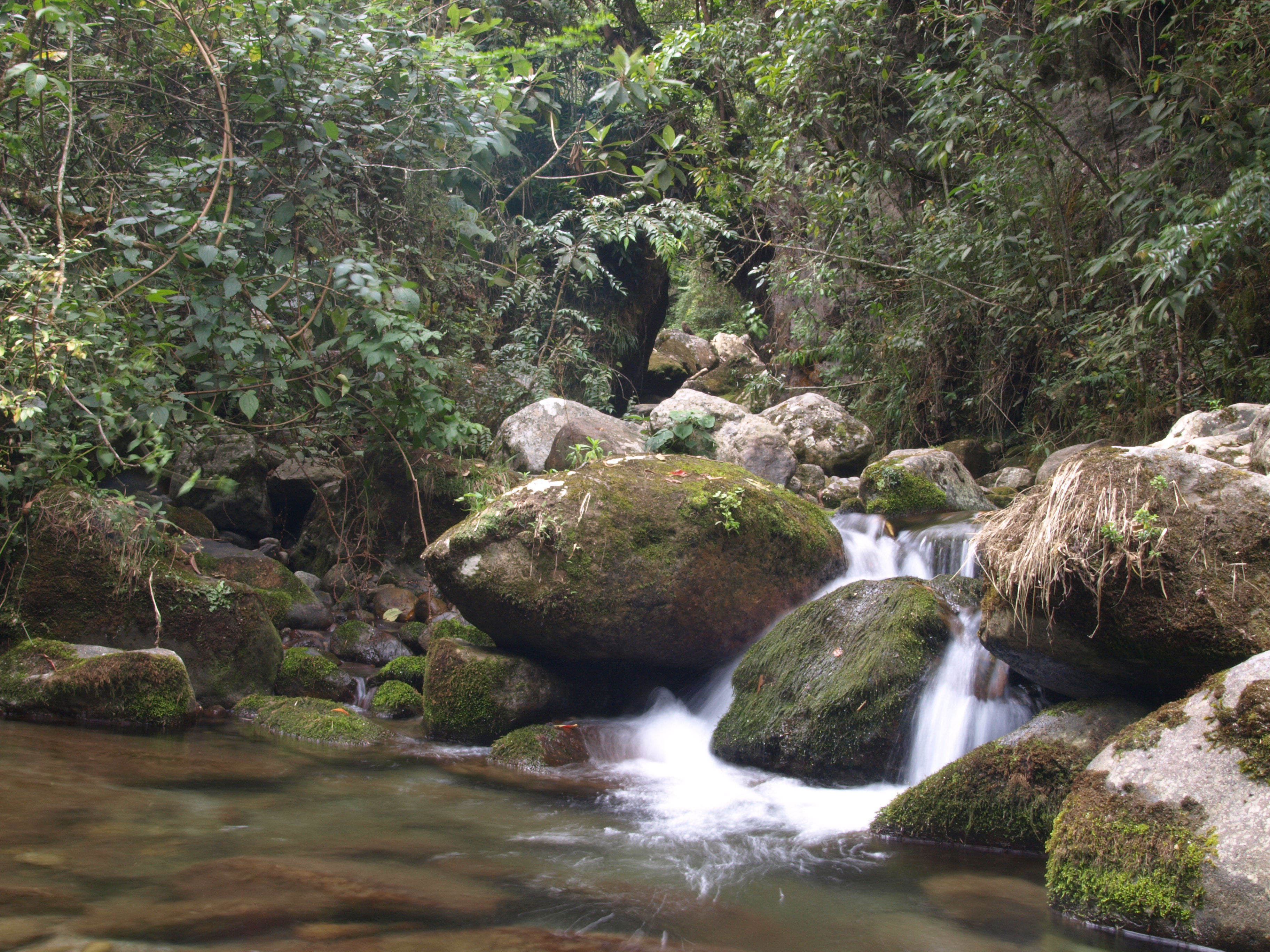 Ríos en Venezuela un viaje por sus maravillas naturales y culturales