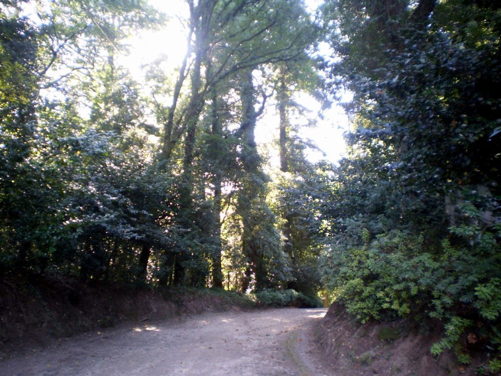 Monte Espinho - Monte do Bom Jesus, por Lala