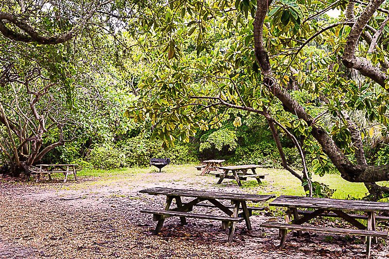 Área de Picnic no Hugh Taylor Birch Park, por Antonio Athayde