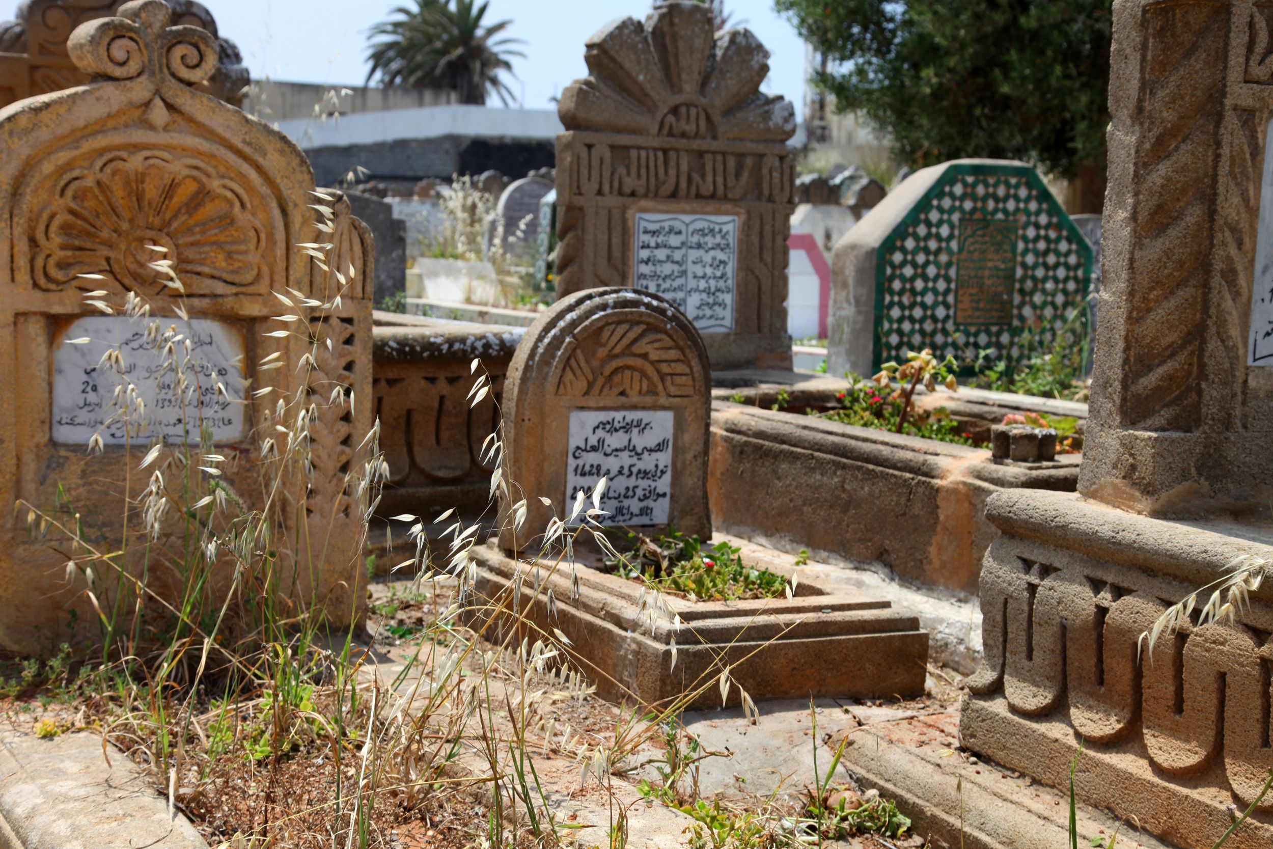 Cimetière As Shouhada, por GERARD DECQ
