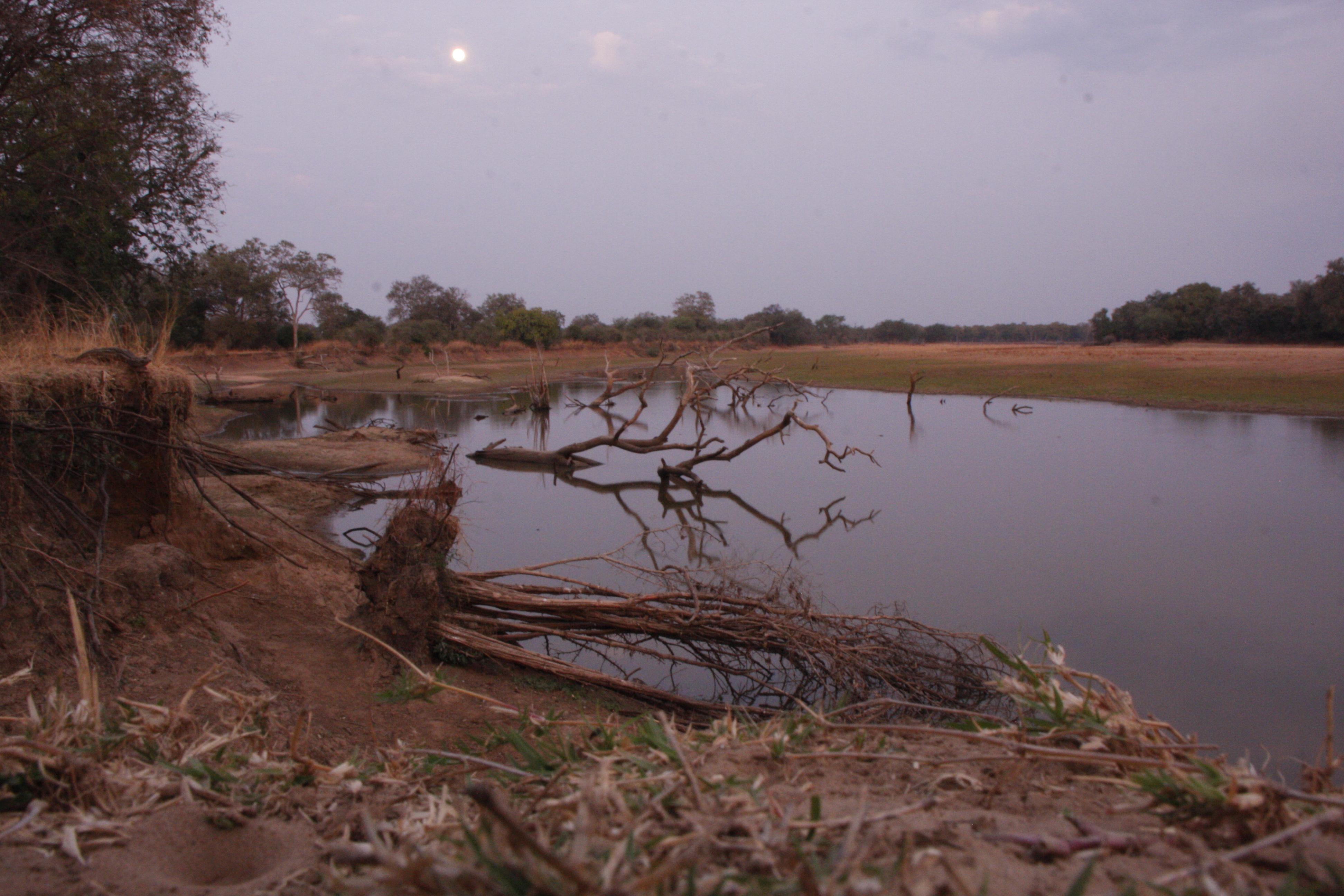 Parque Nacional de Luambe - Valle del Luangwa, por Ramon Diaz de Bustamante