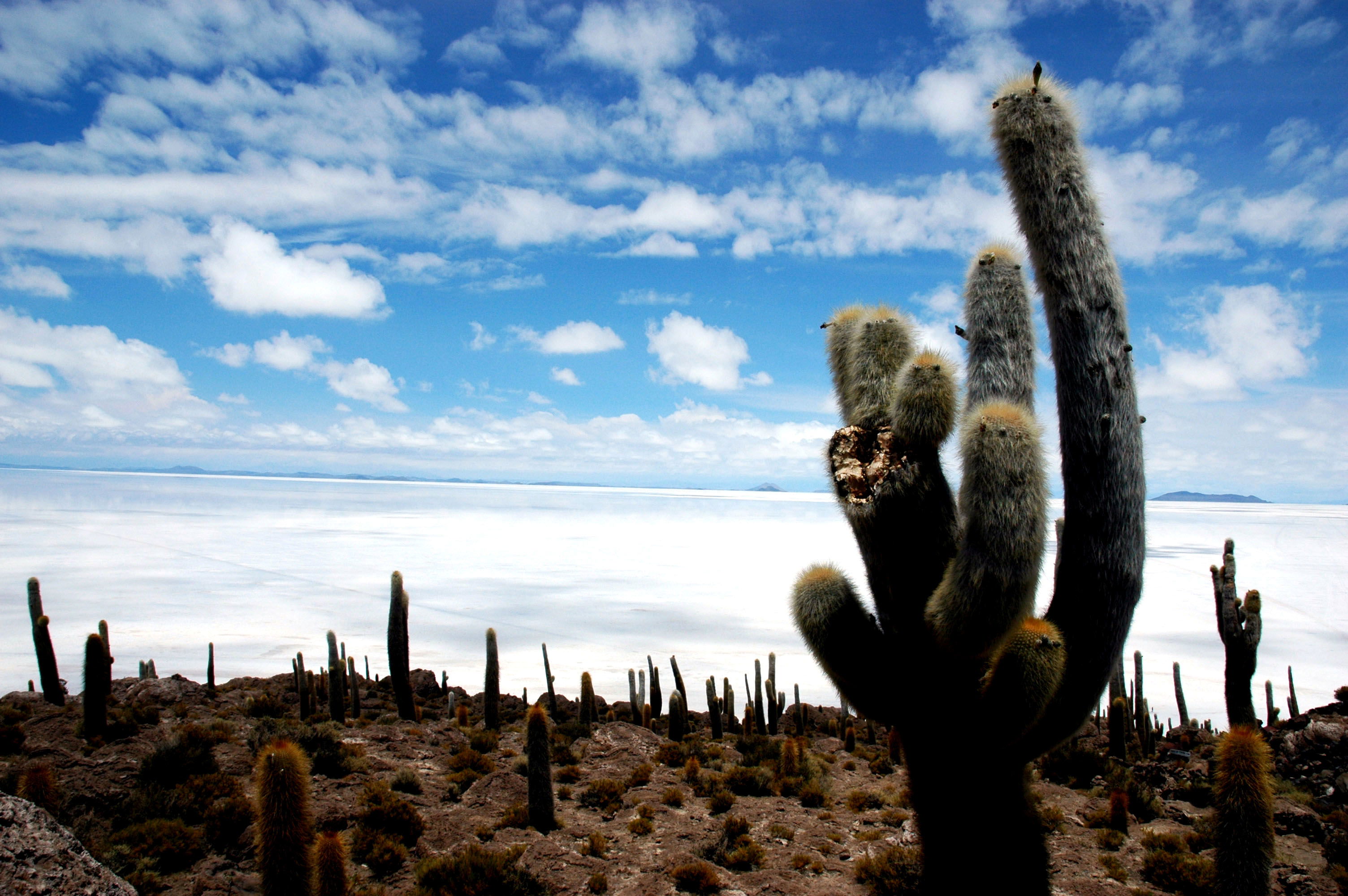 Isla Incahuasi, por giuseppe civica