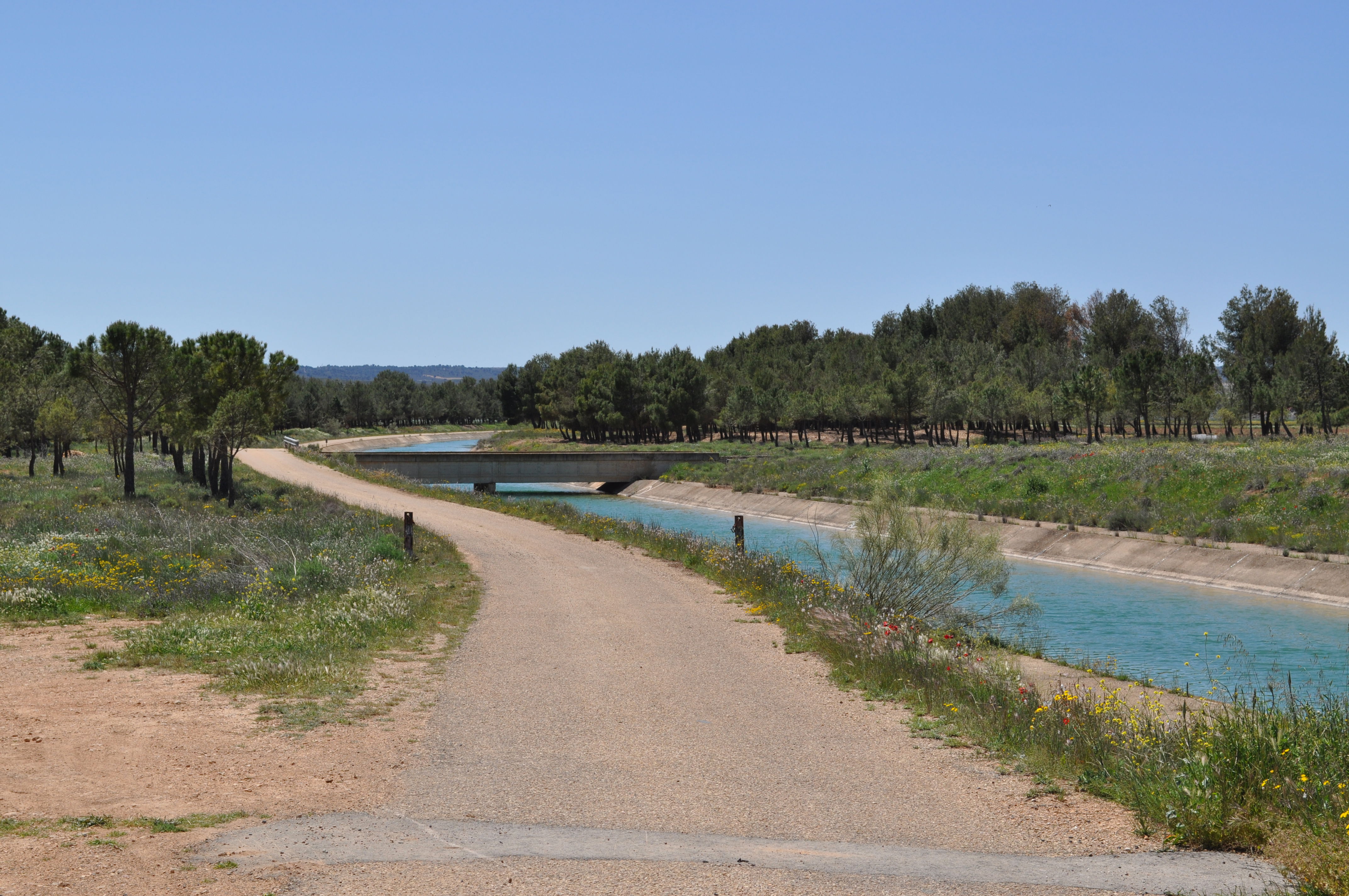 Acueducto Tajo-Segura, por miguel a. cartagena
