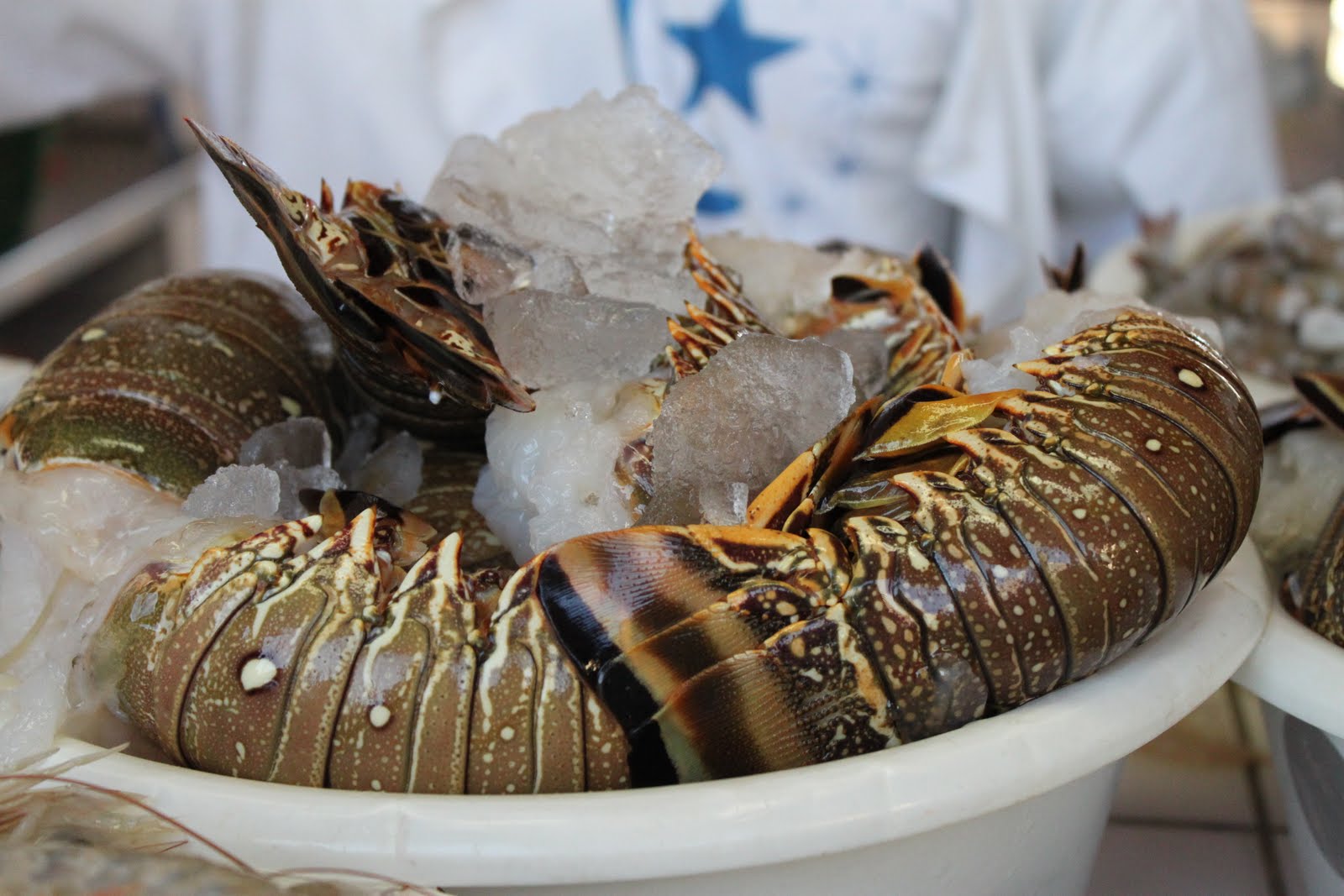 Mercado de Pescado en Mucuripe, por Junior Gomes
