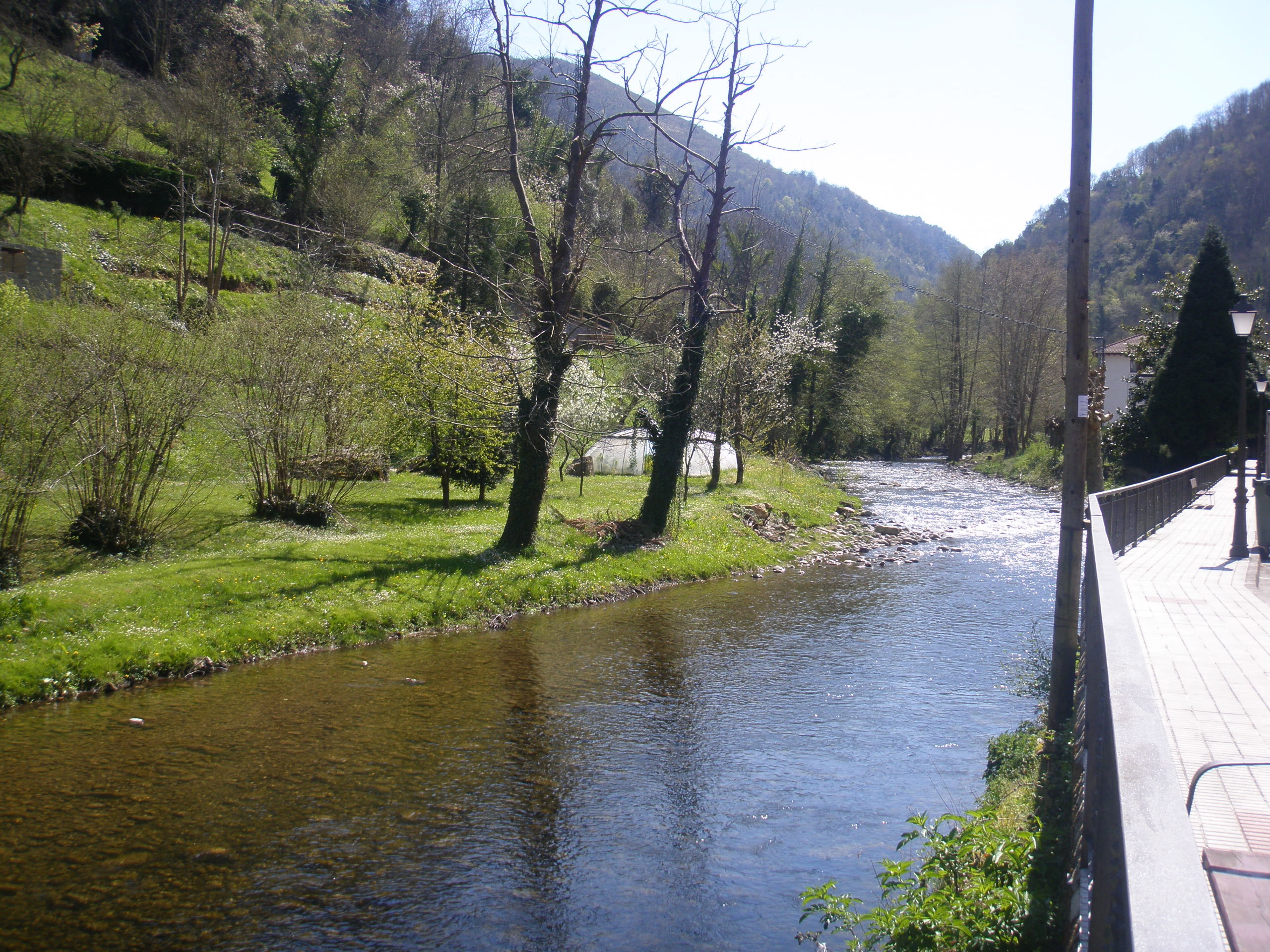 Río Pigüeña, por Enma