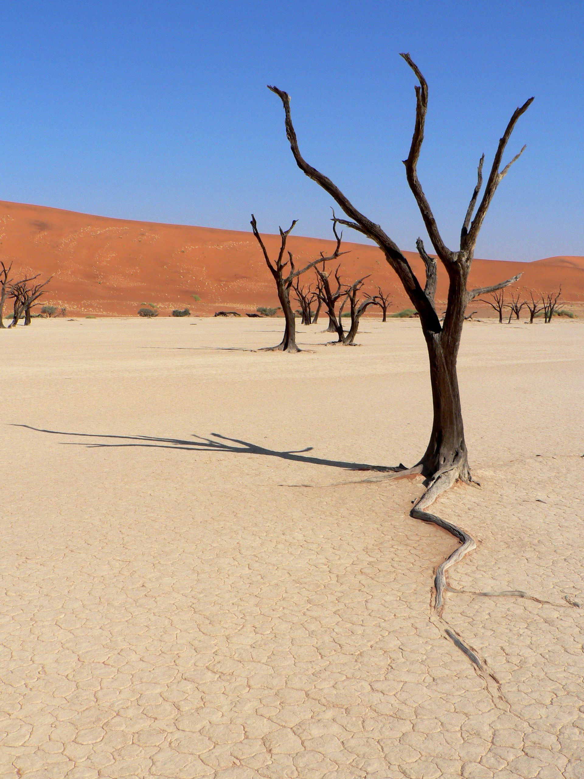 Dead Vlei, por caimanb