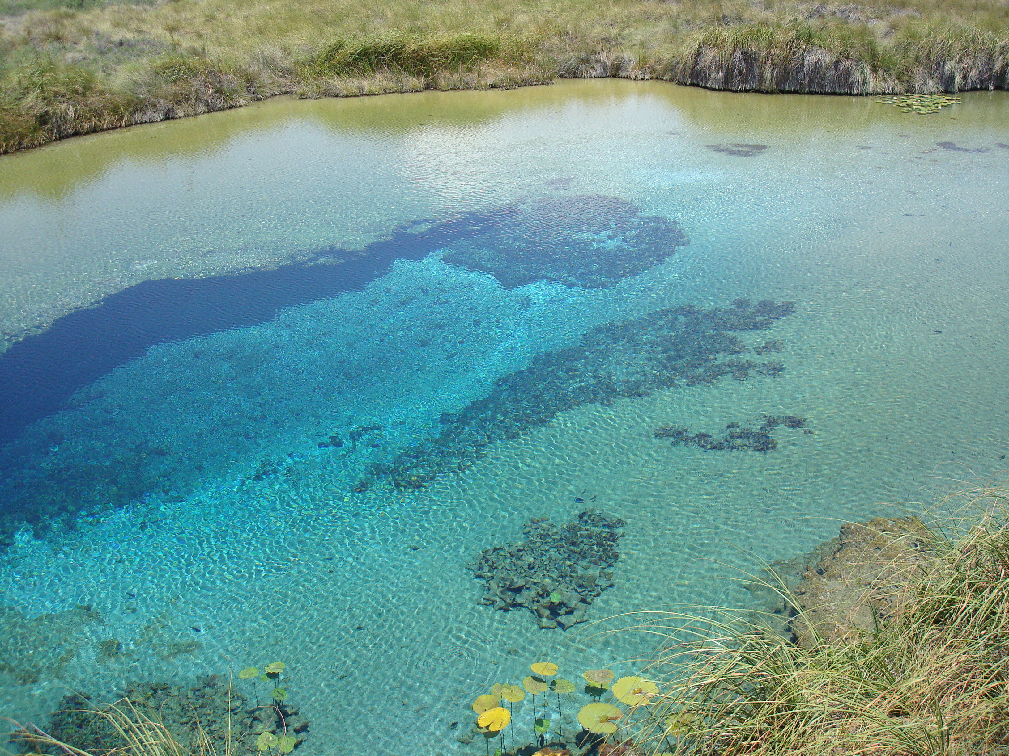 Charcas en México: maravillas naturales y culturales por descubrir